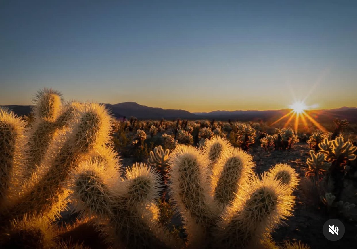 Desert Stillness