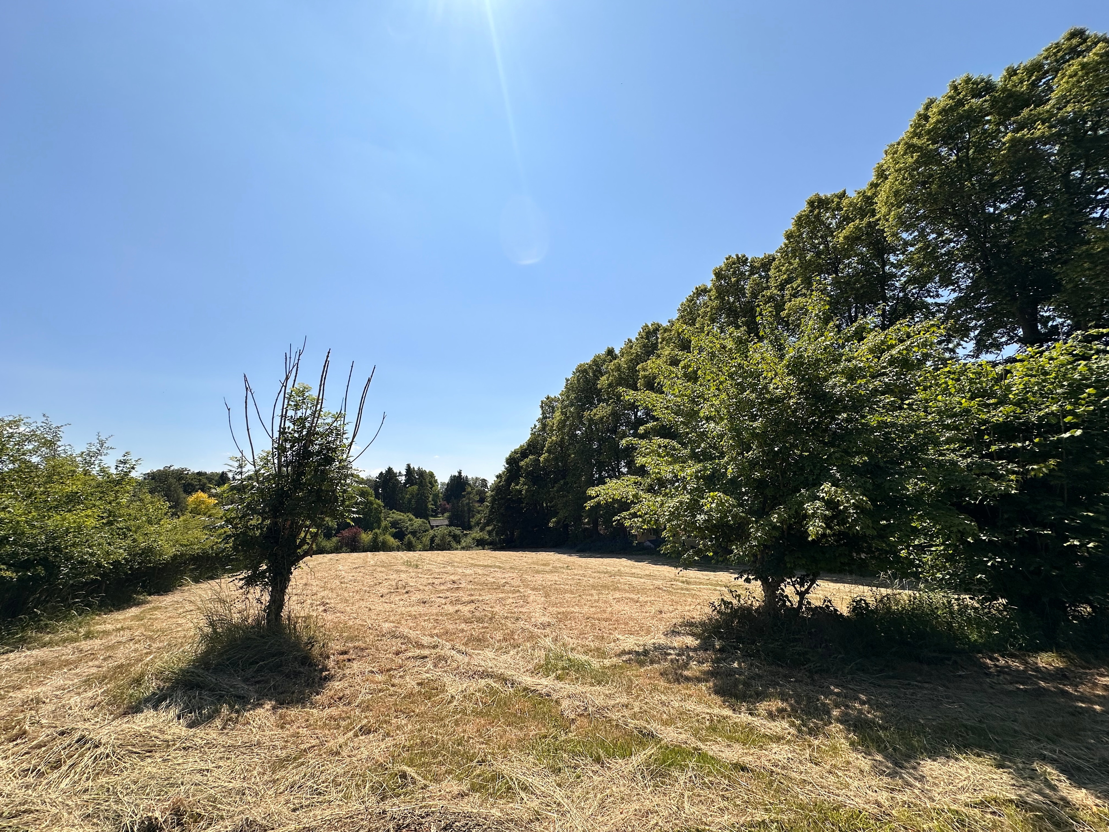 Charlbury Rise Camping