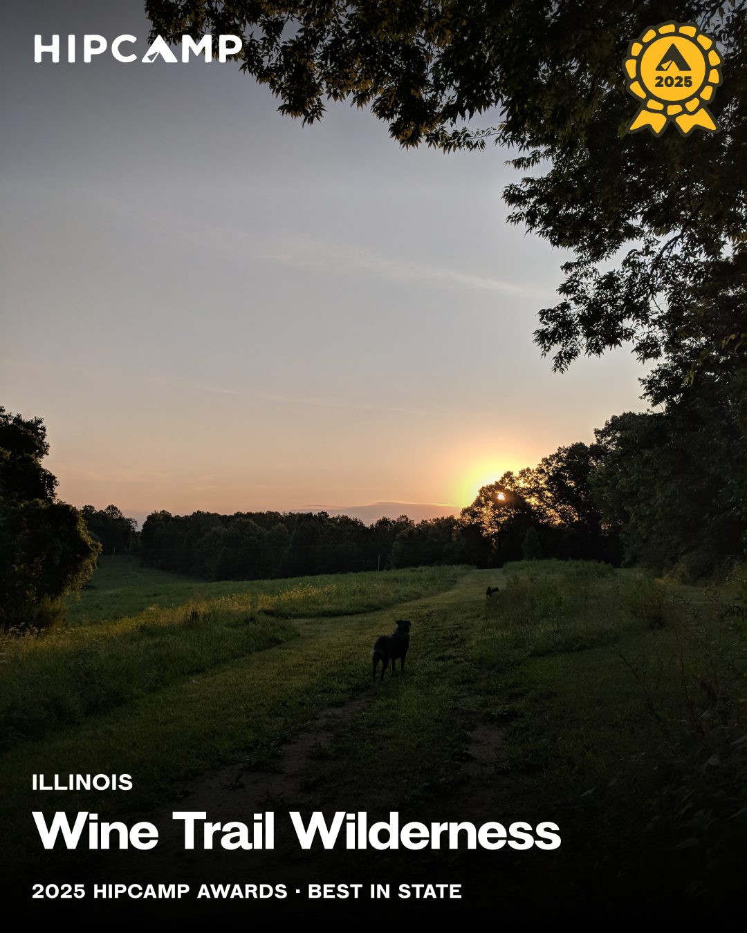Wine Trail Wilderness