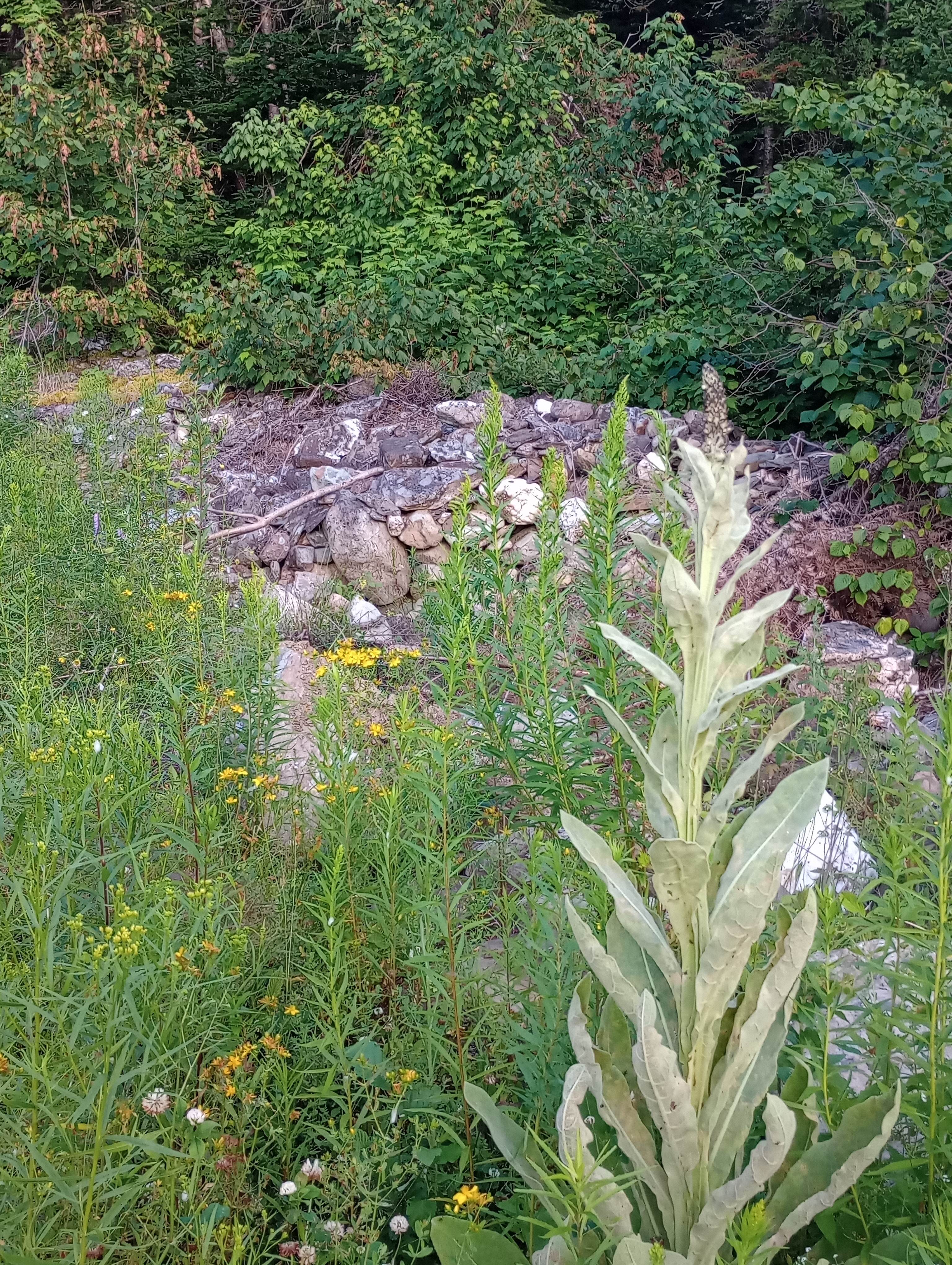 Cedar Valley Land 4 Lease