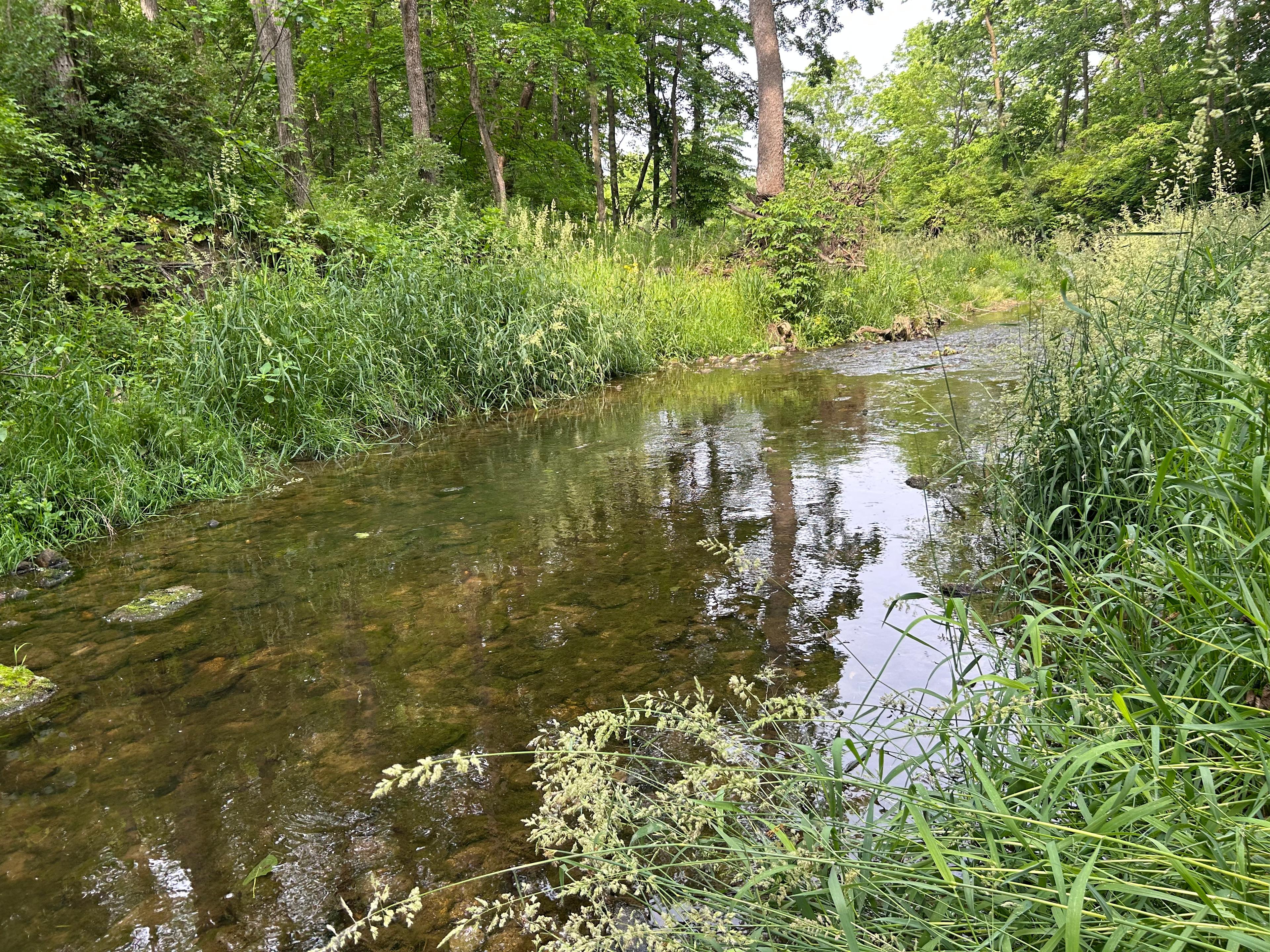 Gypsi Acres