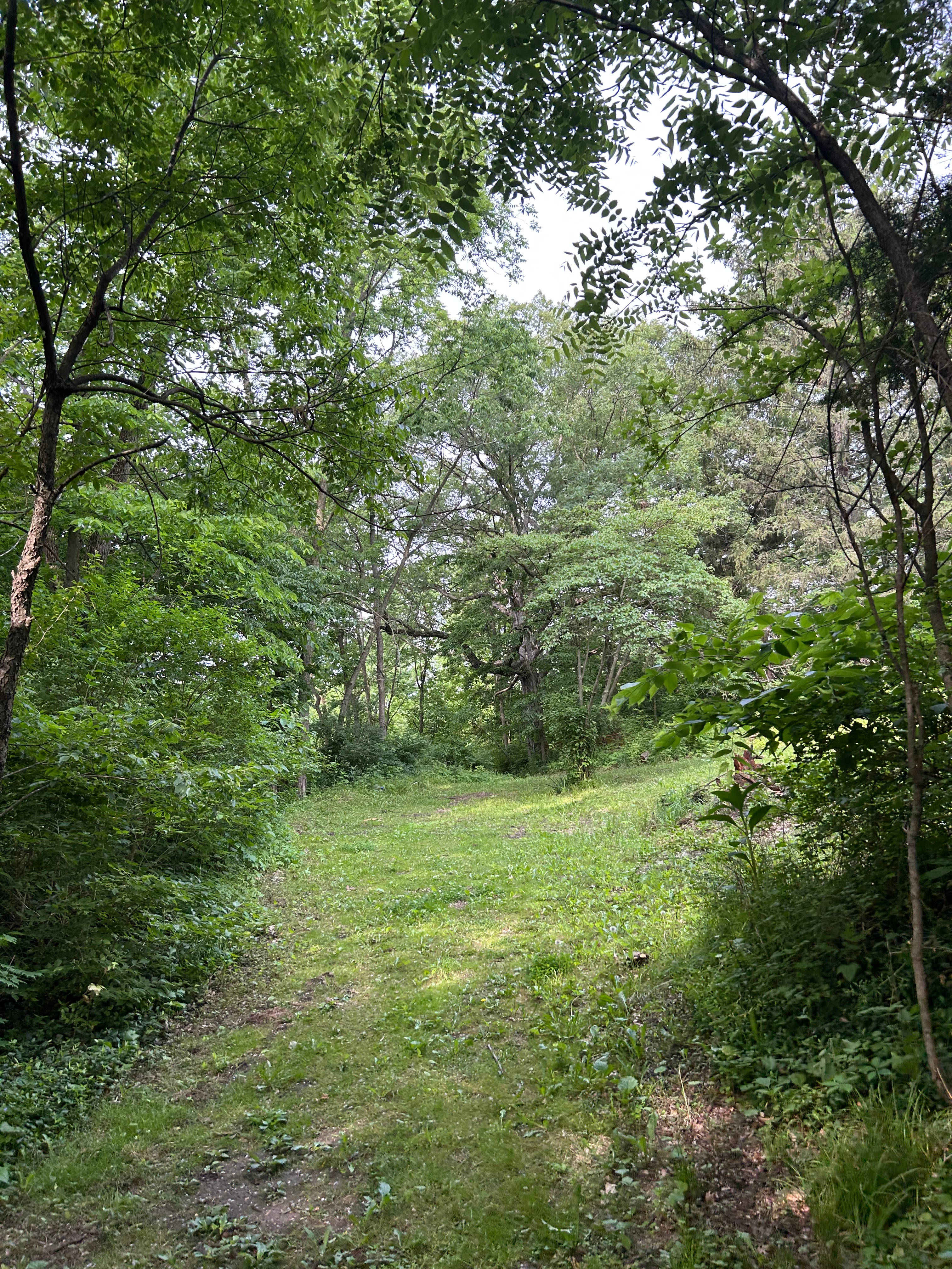 Gypsi Acres