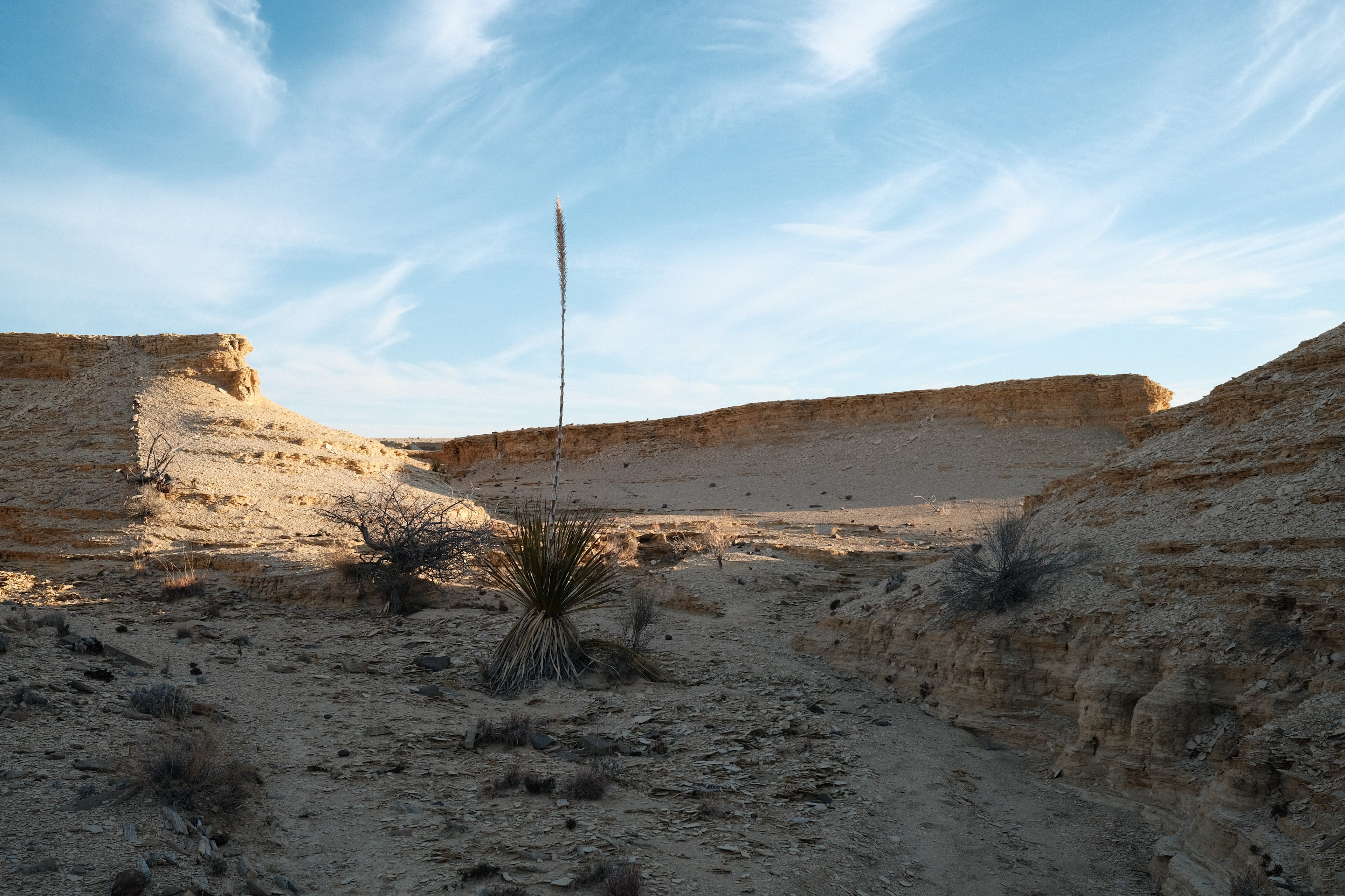 Moonwalker Ranch Desert Outpost