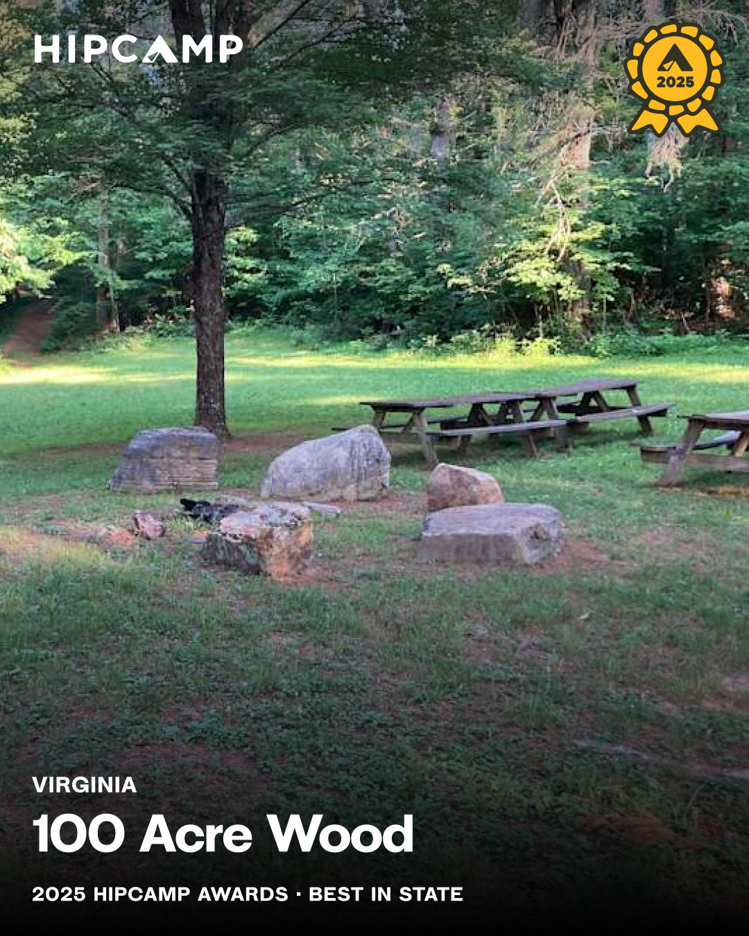 100 Acre Wood
