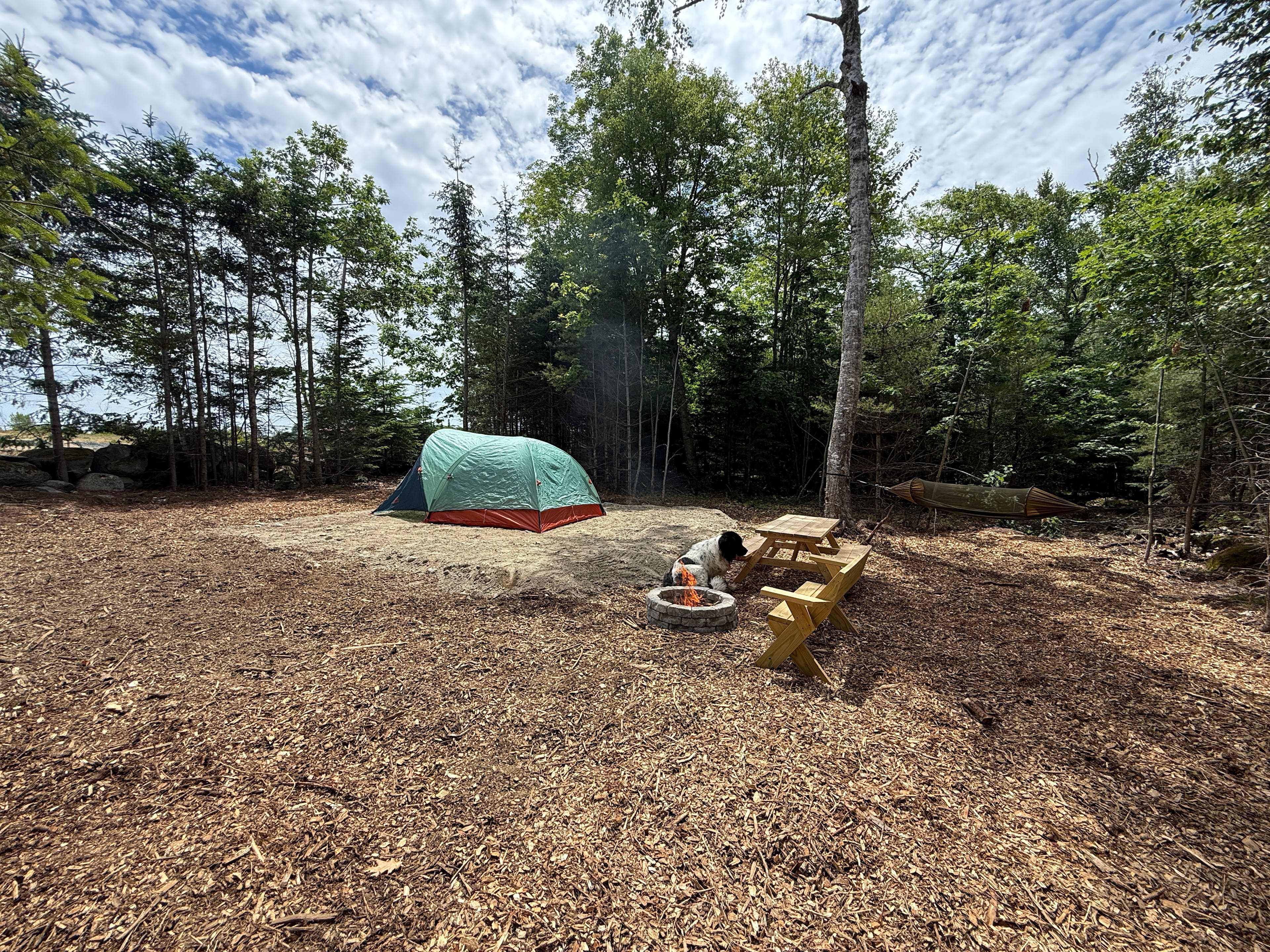 Ferncrest Acadia