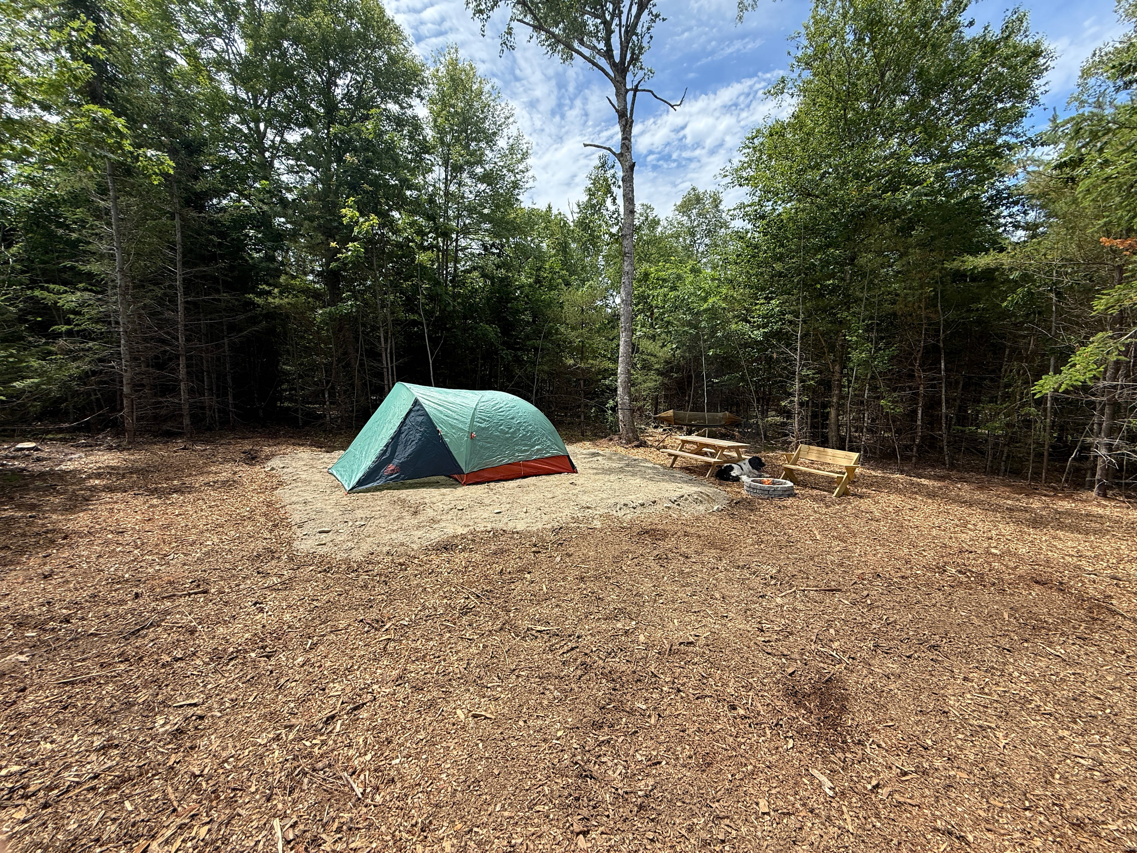 Ferncrest Acadia