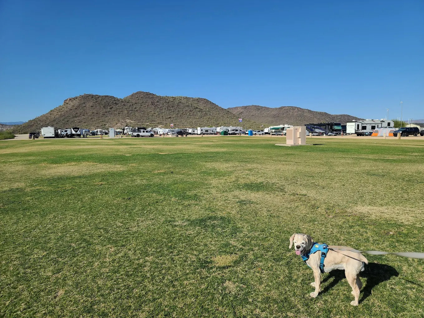 Pleasant Harbor RV Resort