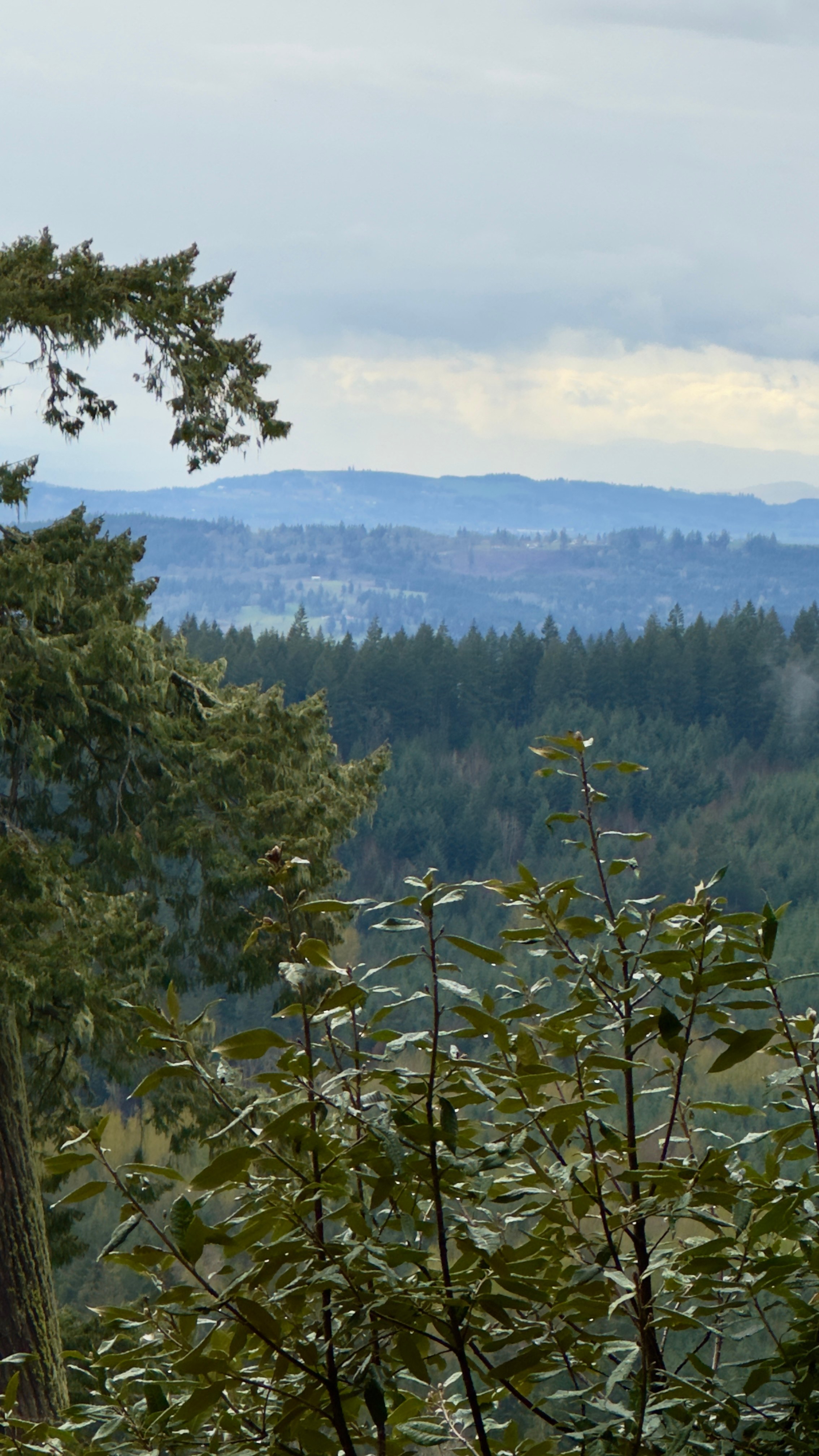Retreat at Neal Creek
