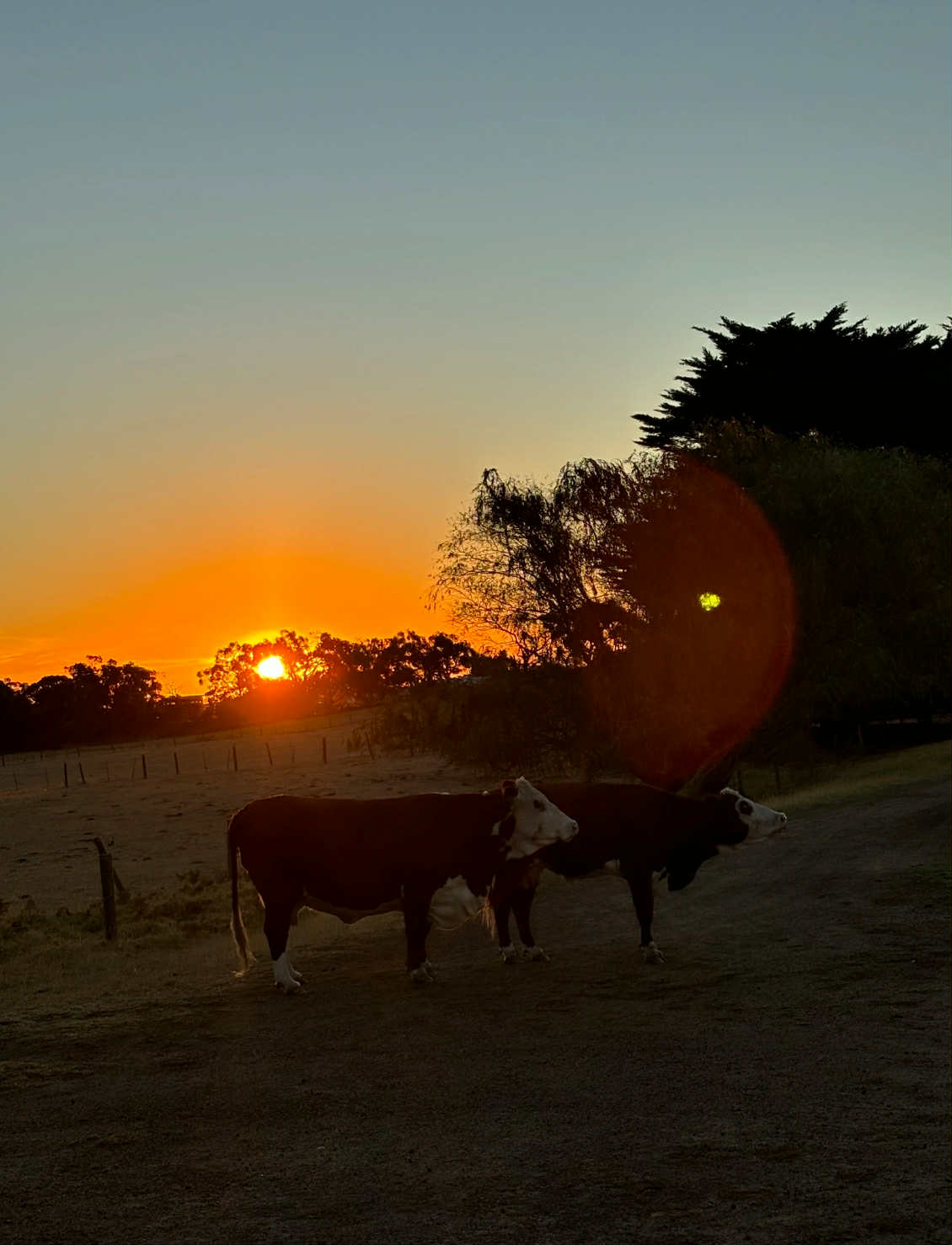 Russie's Farm Stay