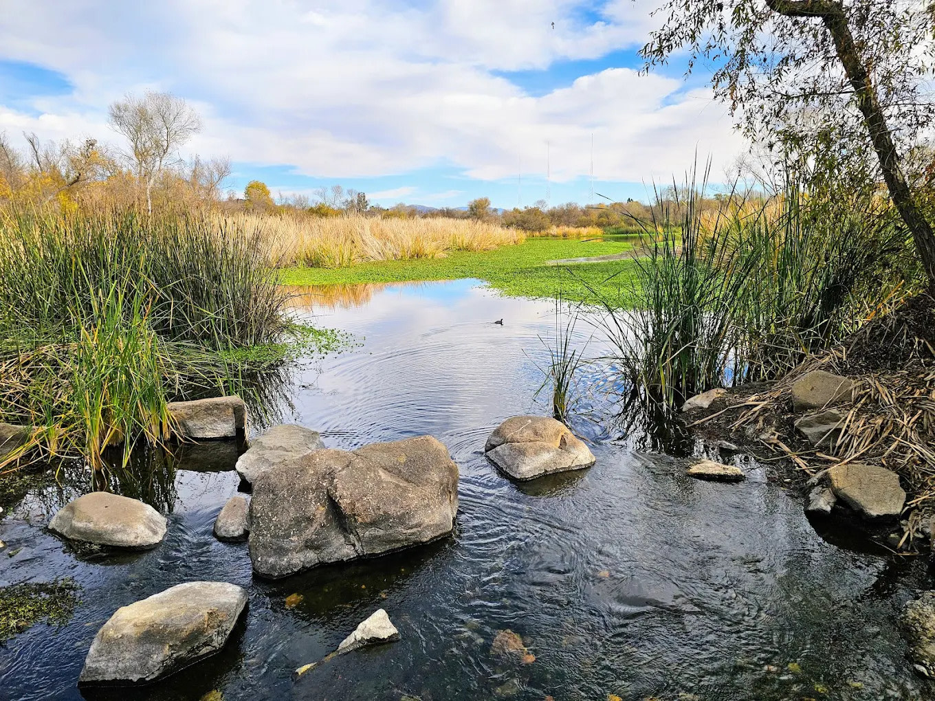 Kumeyaay Lake Campground