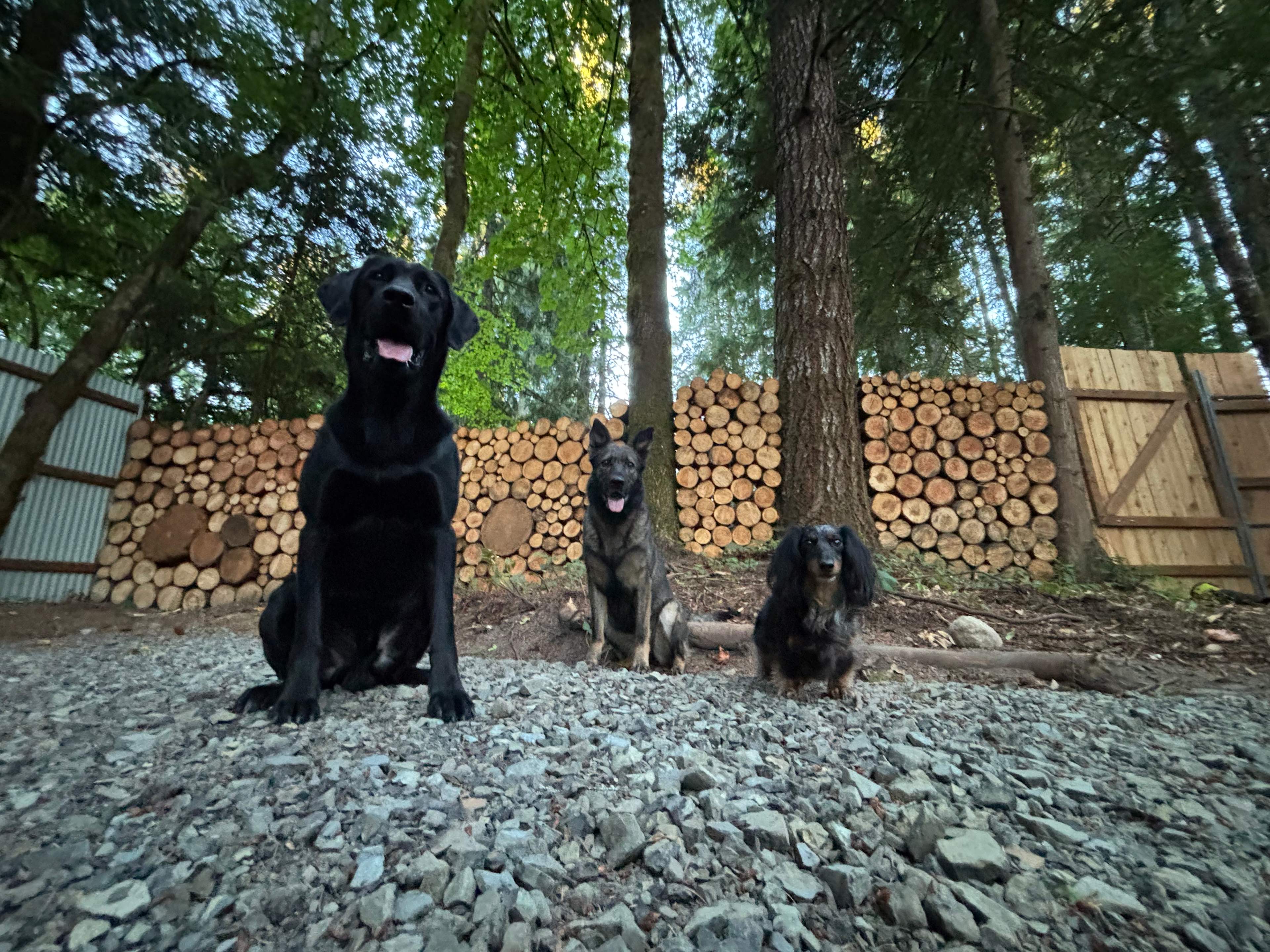 Mt Hood Vantopia Base Camp