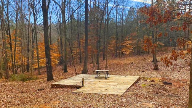 The Point At Lake Hartwell