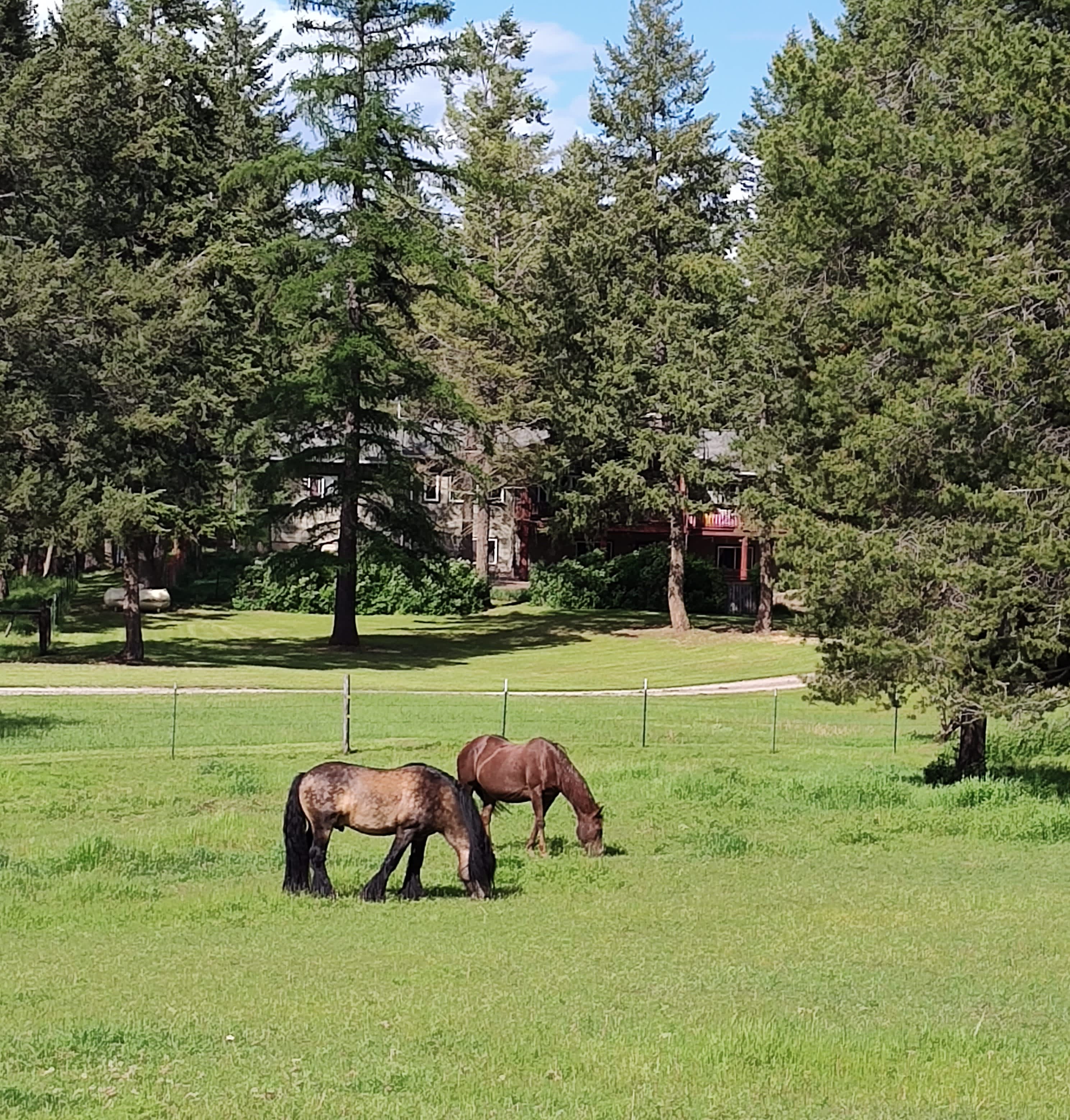 Glamping at Mountain Shadow Ranch