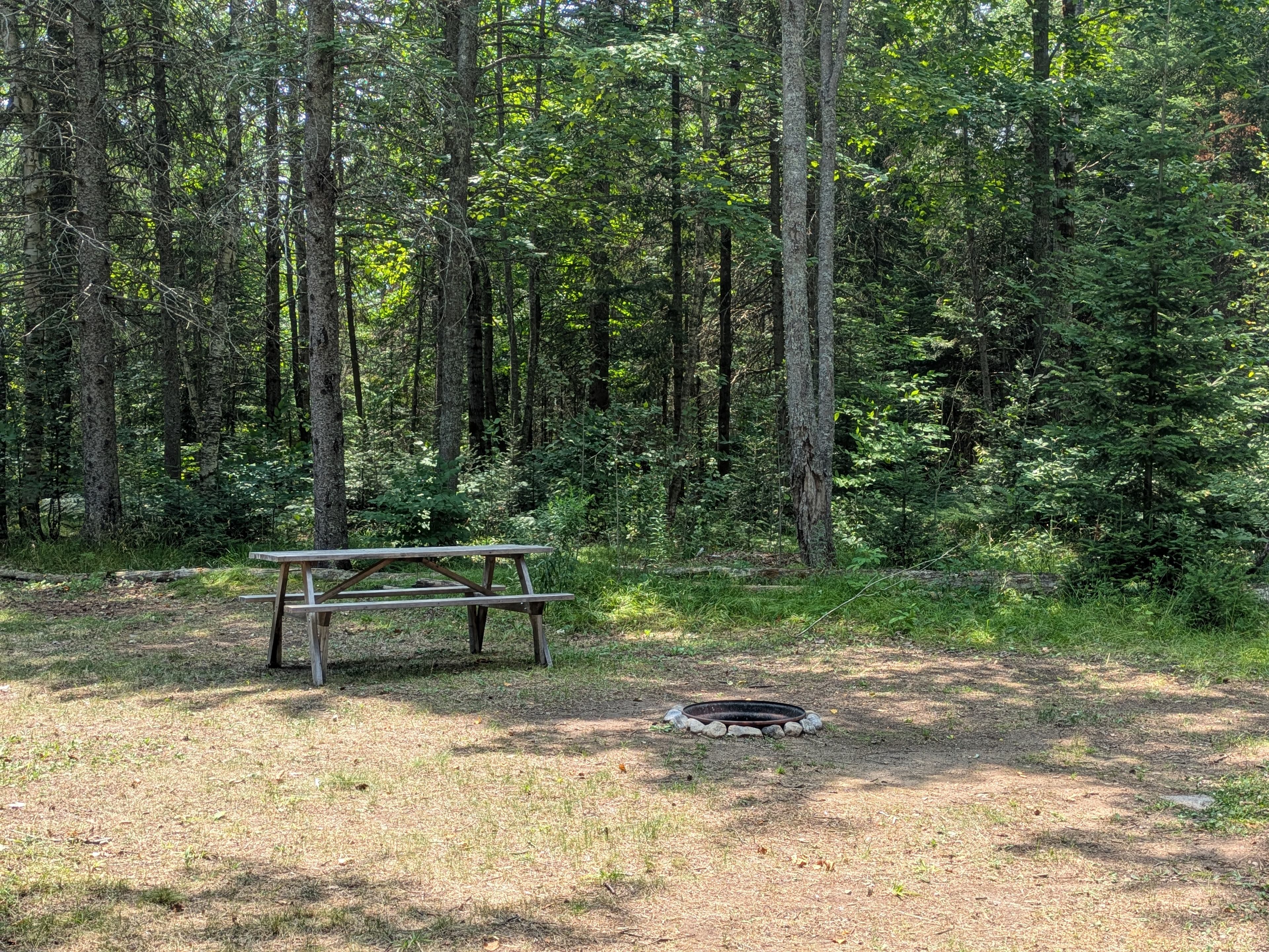 Campsite in the Pines with Canoe