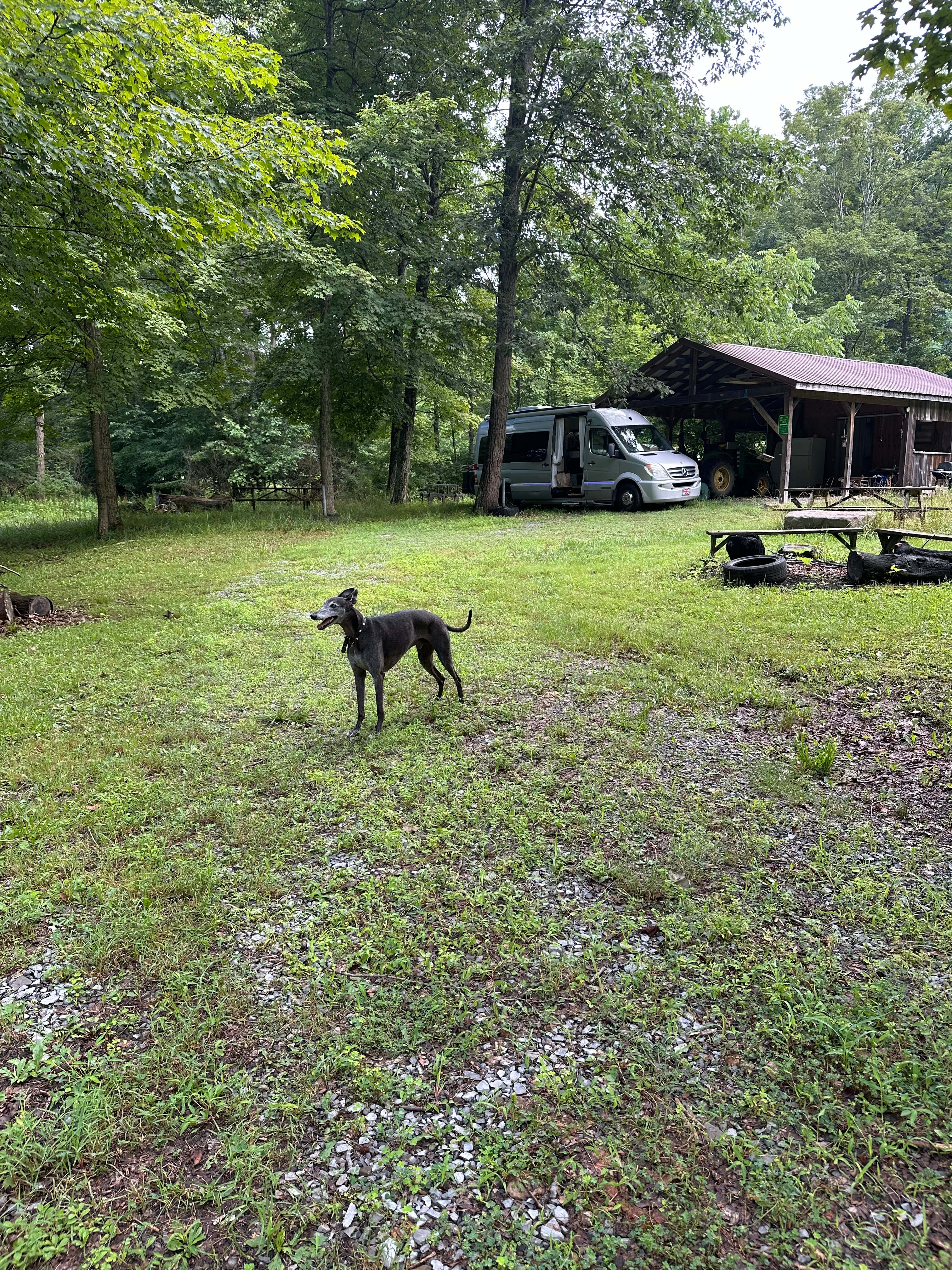 Your own private campsite deep in nature