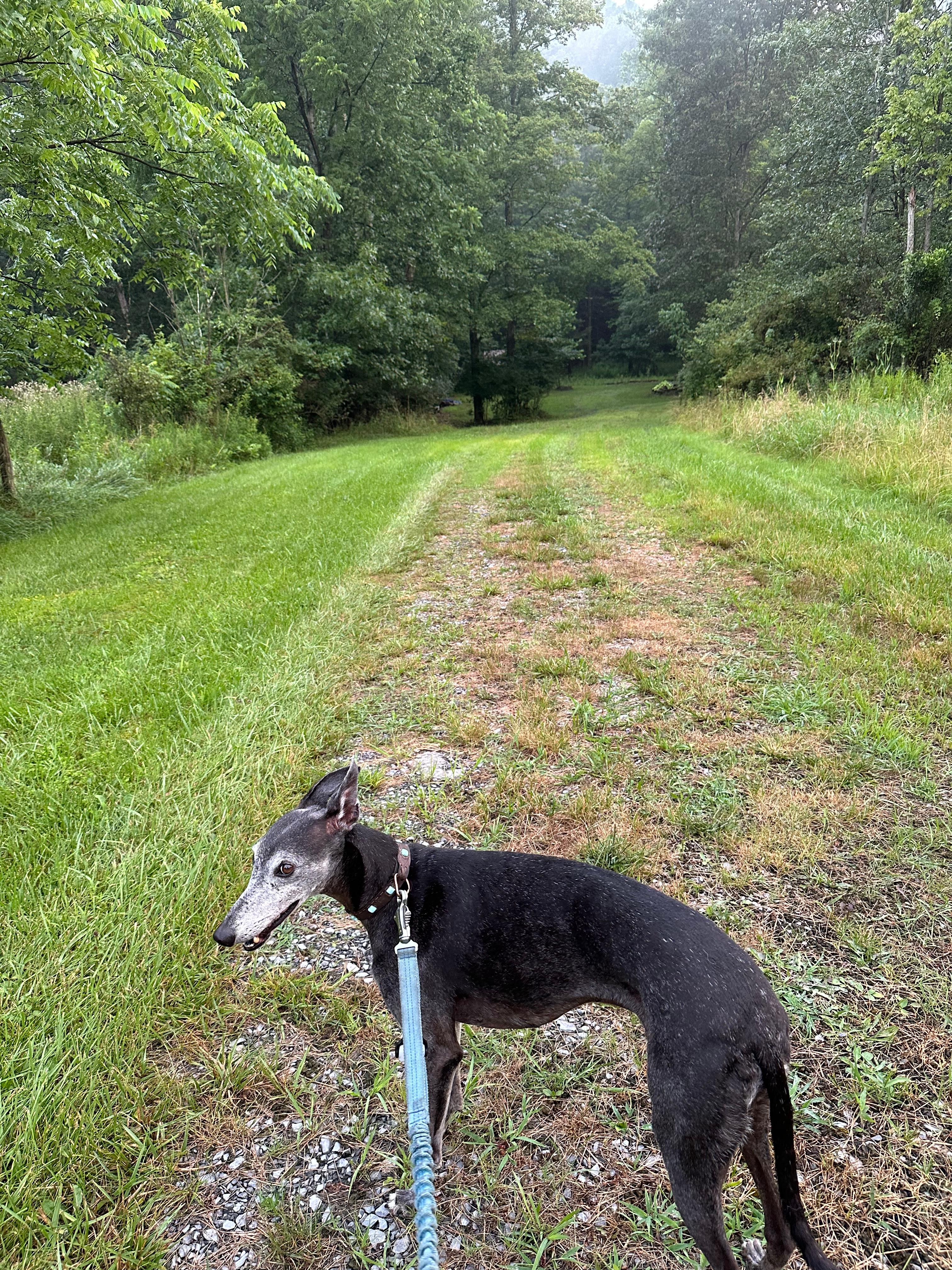 Driveway into the camp on the left