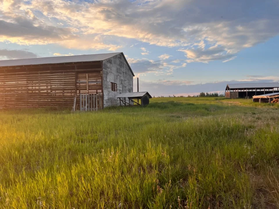 Wrangell Mountain Homestead