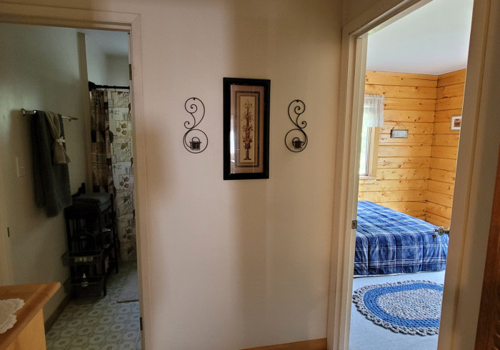 Wrangell Mountain Homestead
