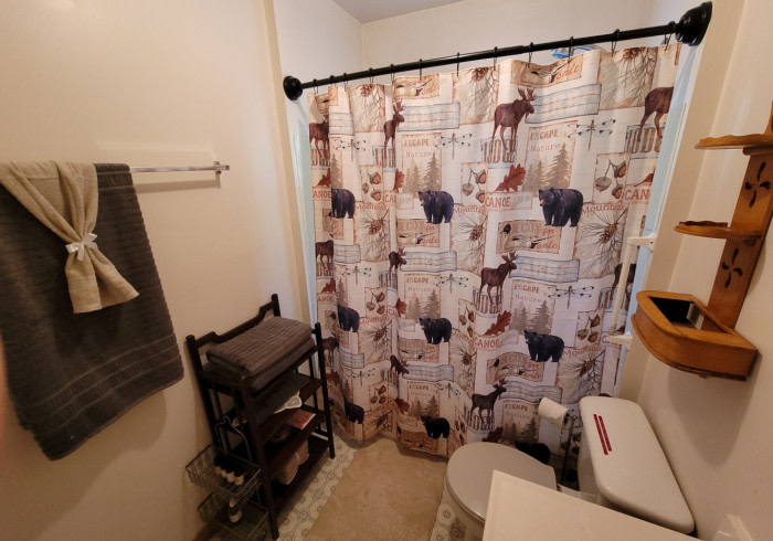 Wrangell Mountain Homestead