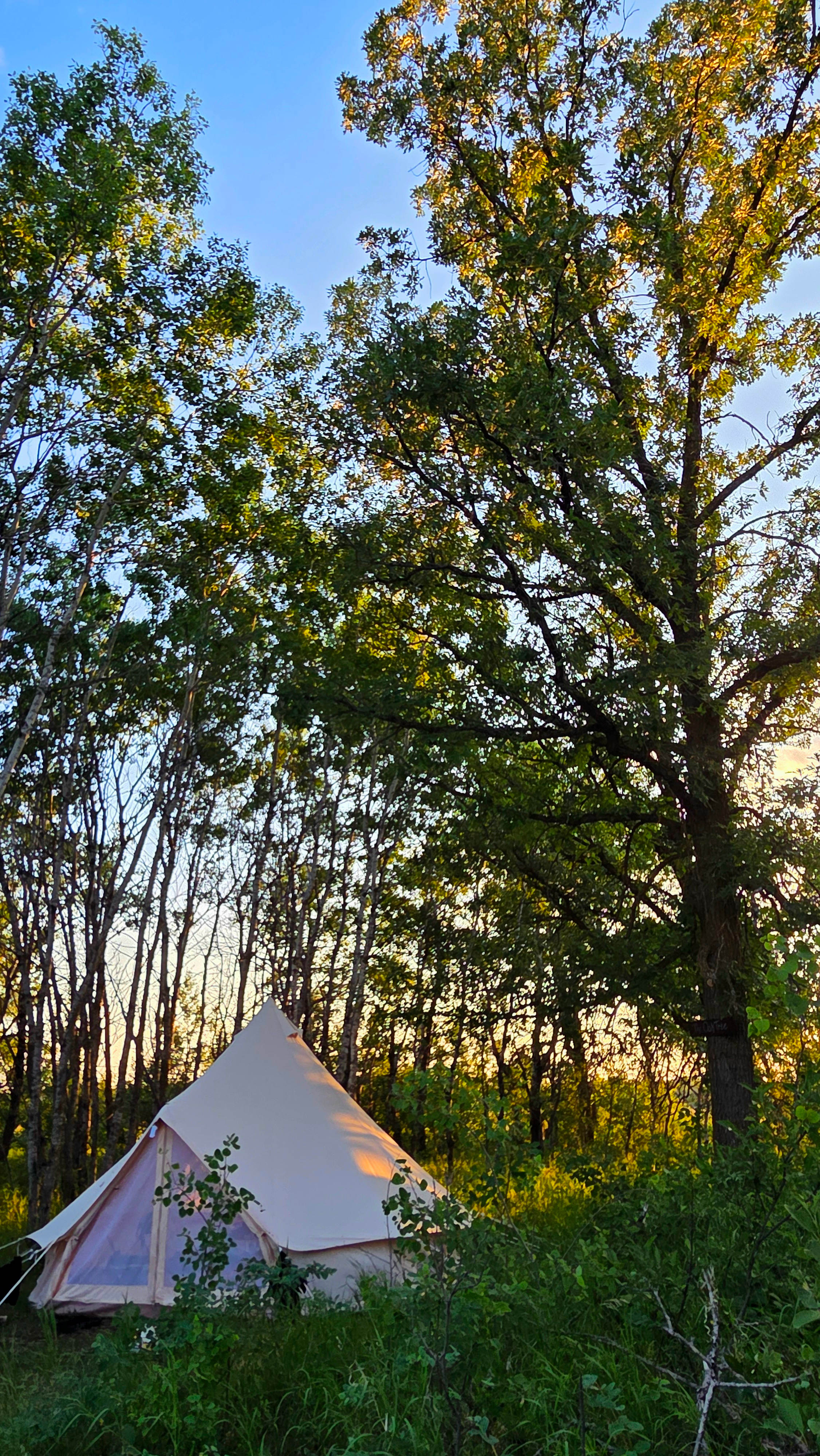Woodland Hideaway
