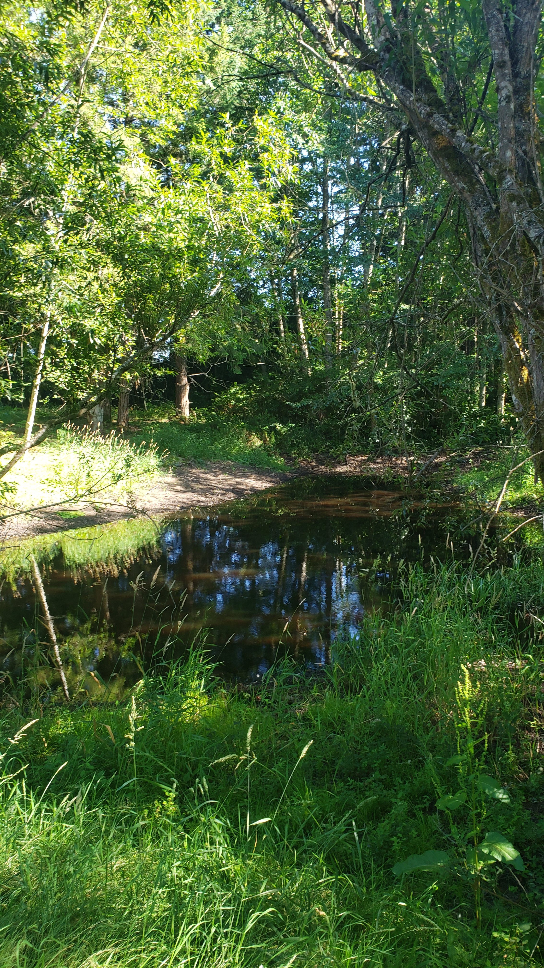 Black Swan RV & Camping