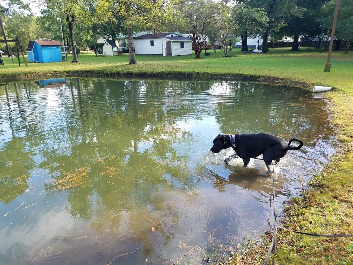 Hawkins Creek Campground