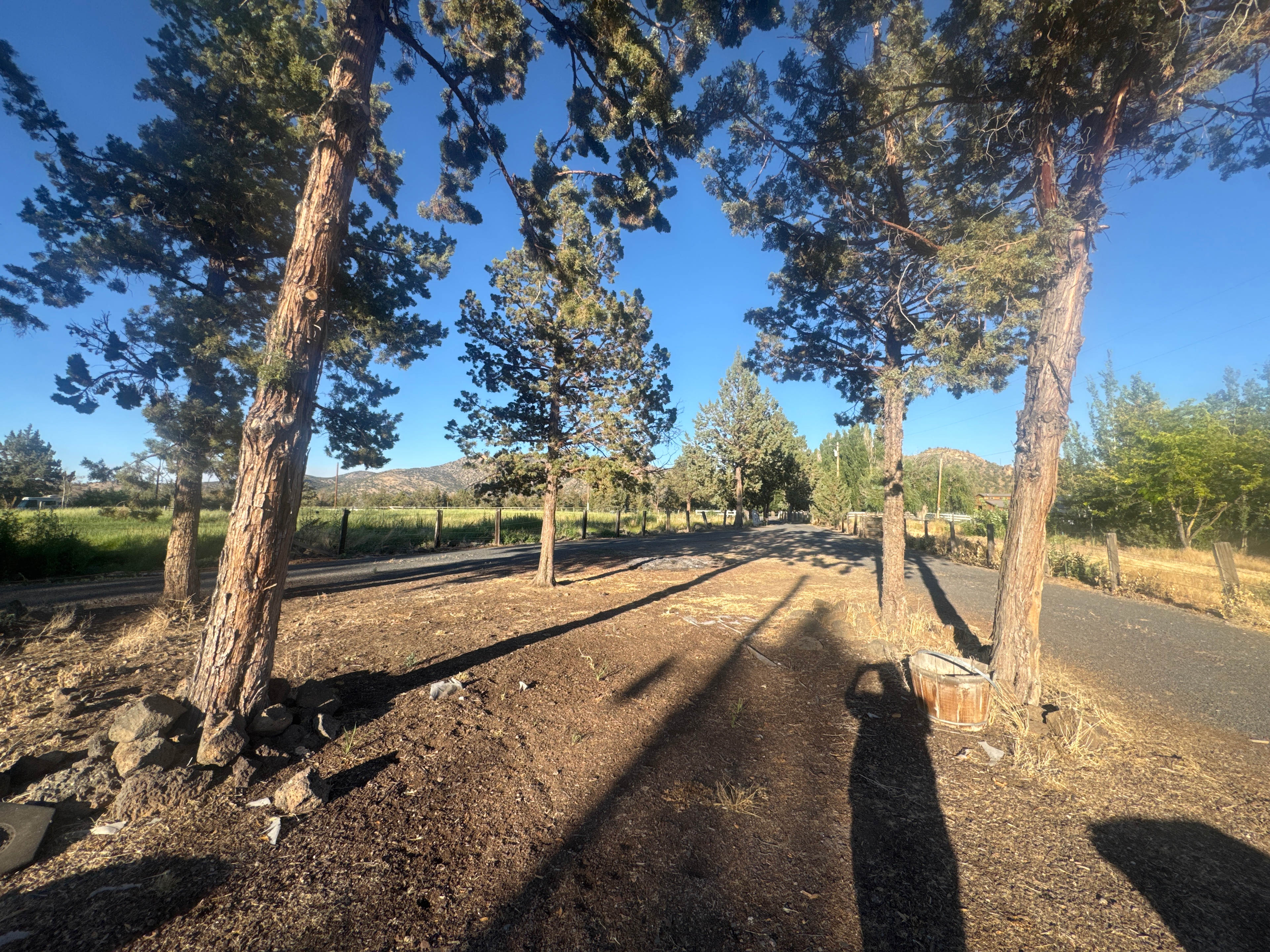 Nell’s Farm