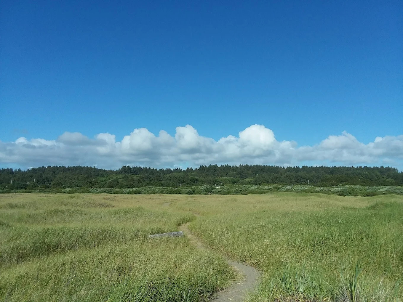 Tidelands  Campgrounds