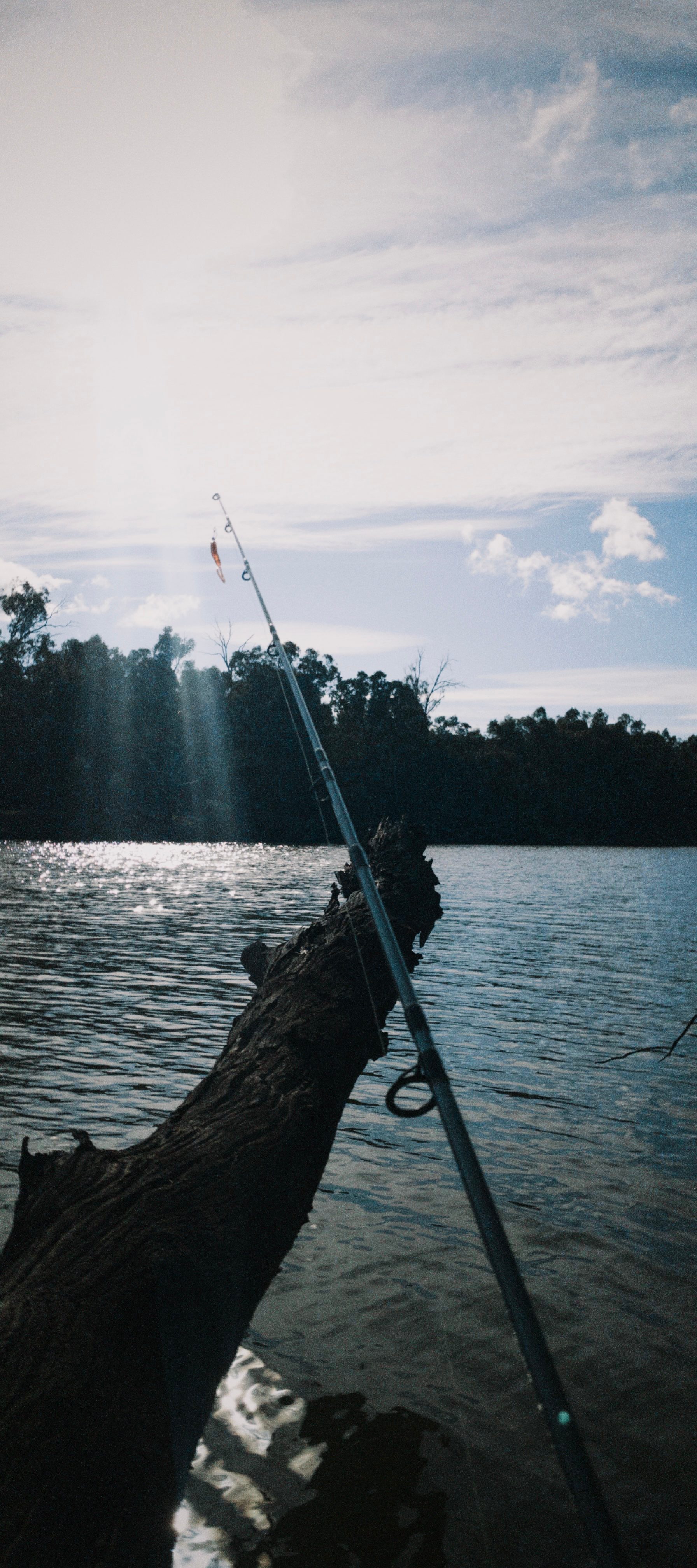 Murray River Bush Camp