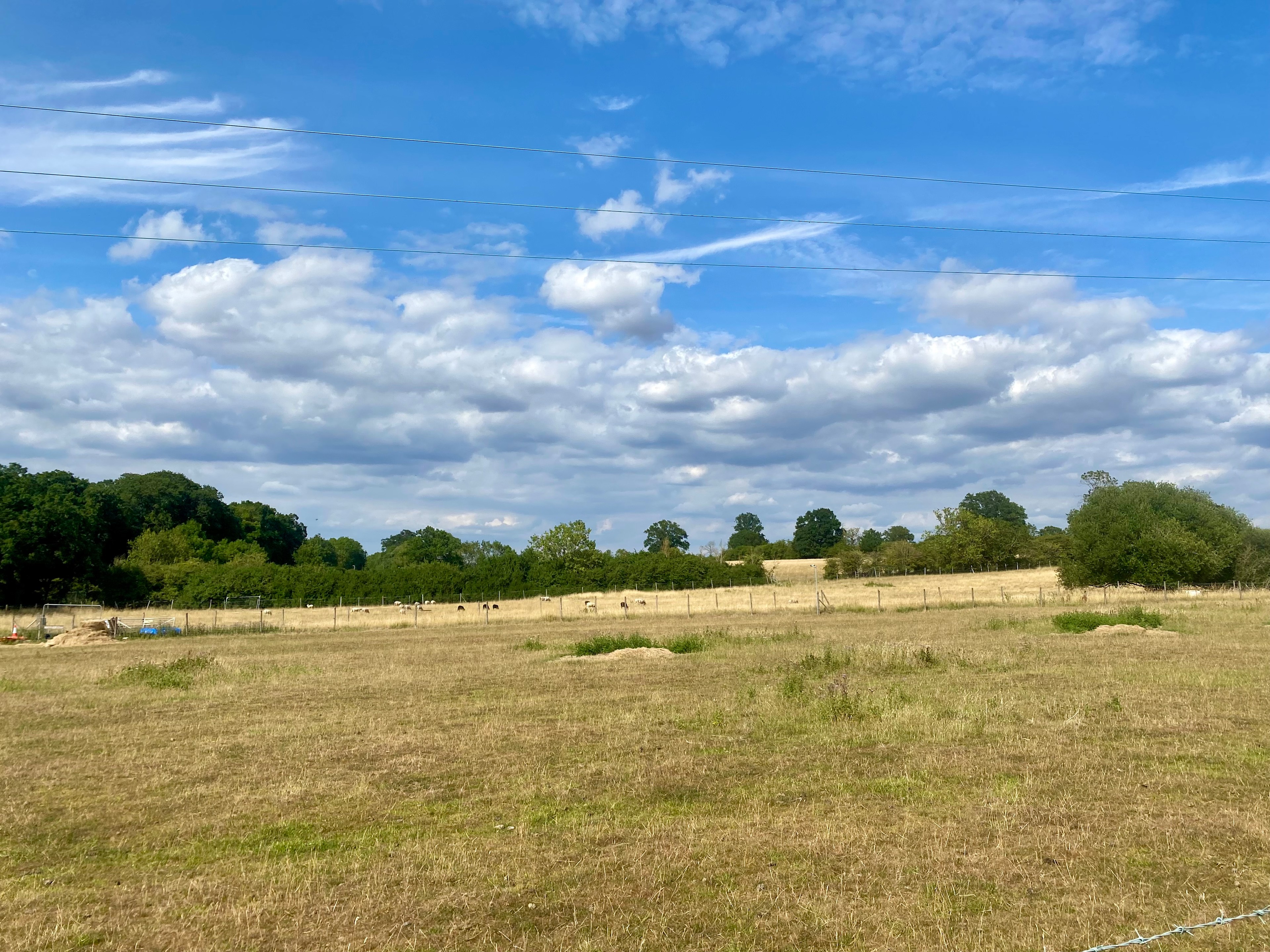 Wingrave Farm