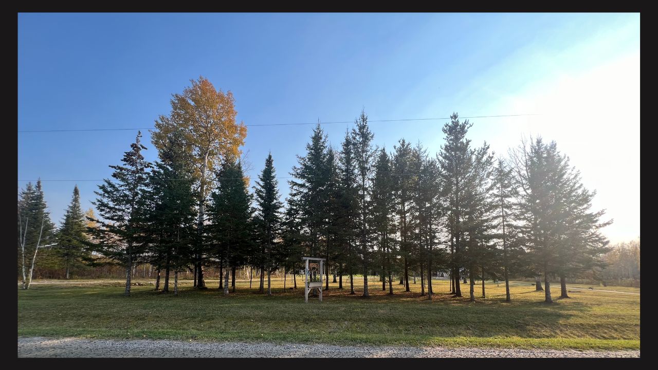 Bear Camp - Forest Stay