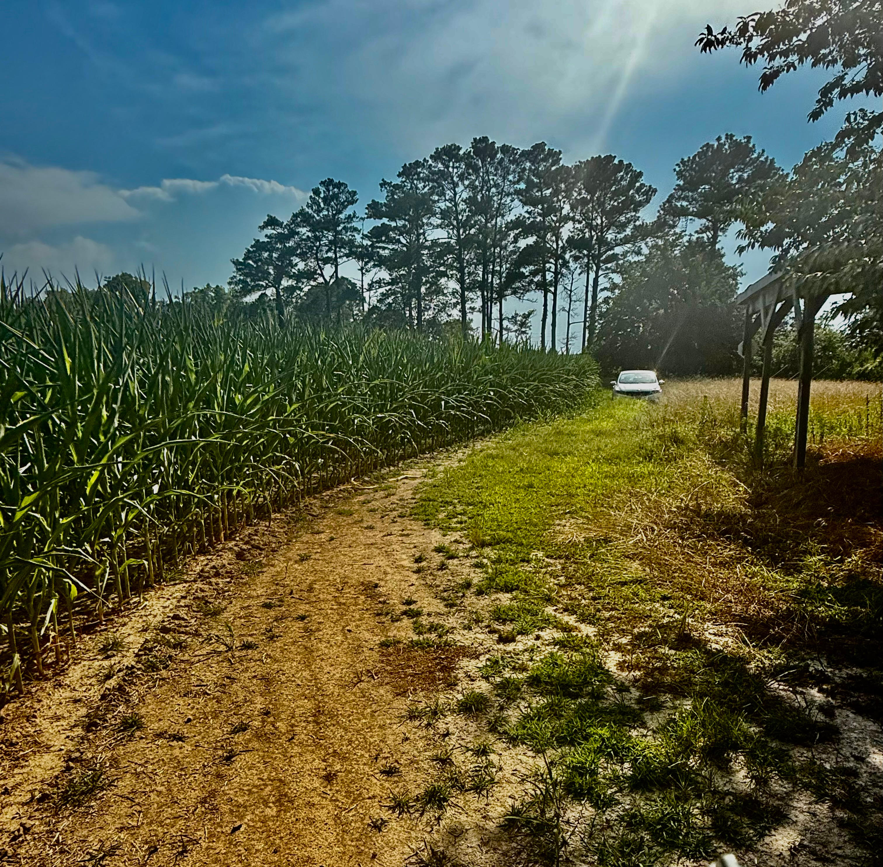 Rustic Zen Campsite W/ Fishing