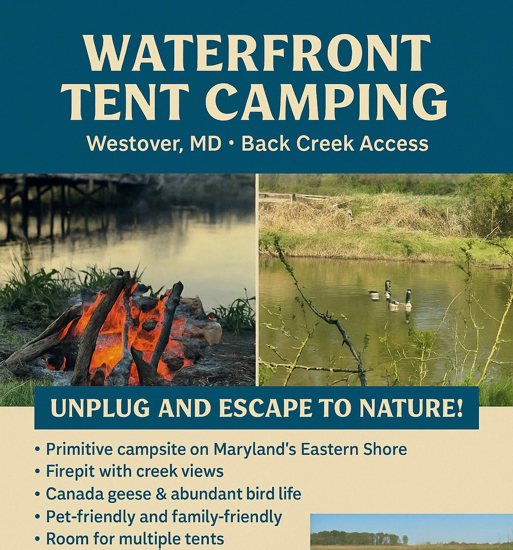 Rustic Zen Campsite W/ Fishing