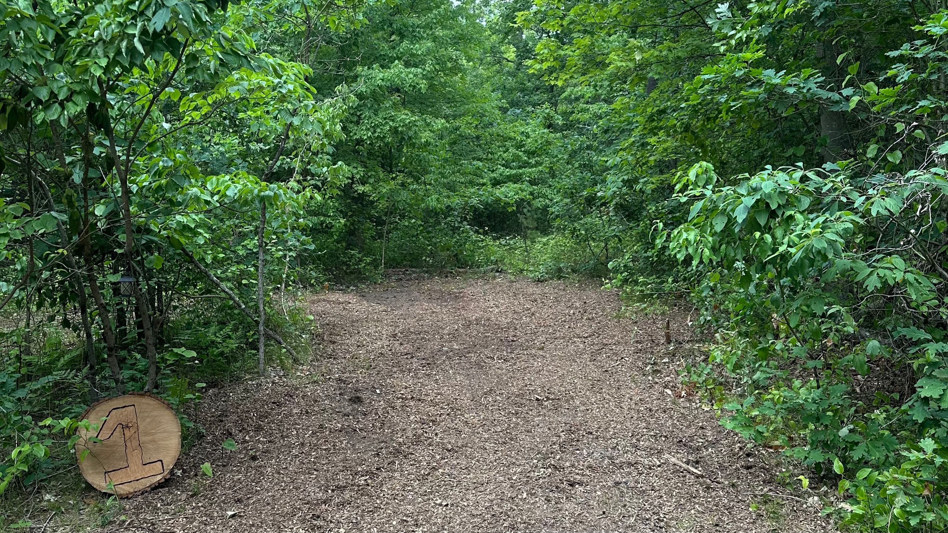 Entrance to site #1 Clyde. Entrance is 7.5’ across, site dimensions are 21’x30