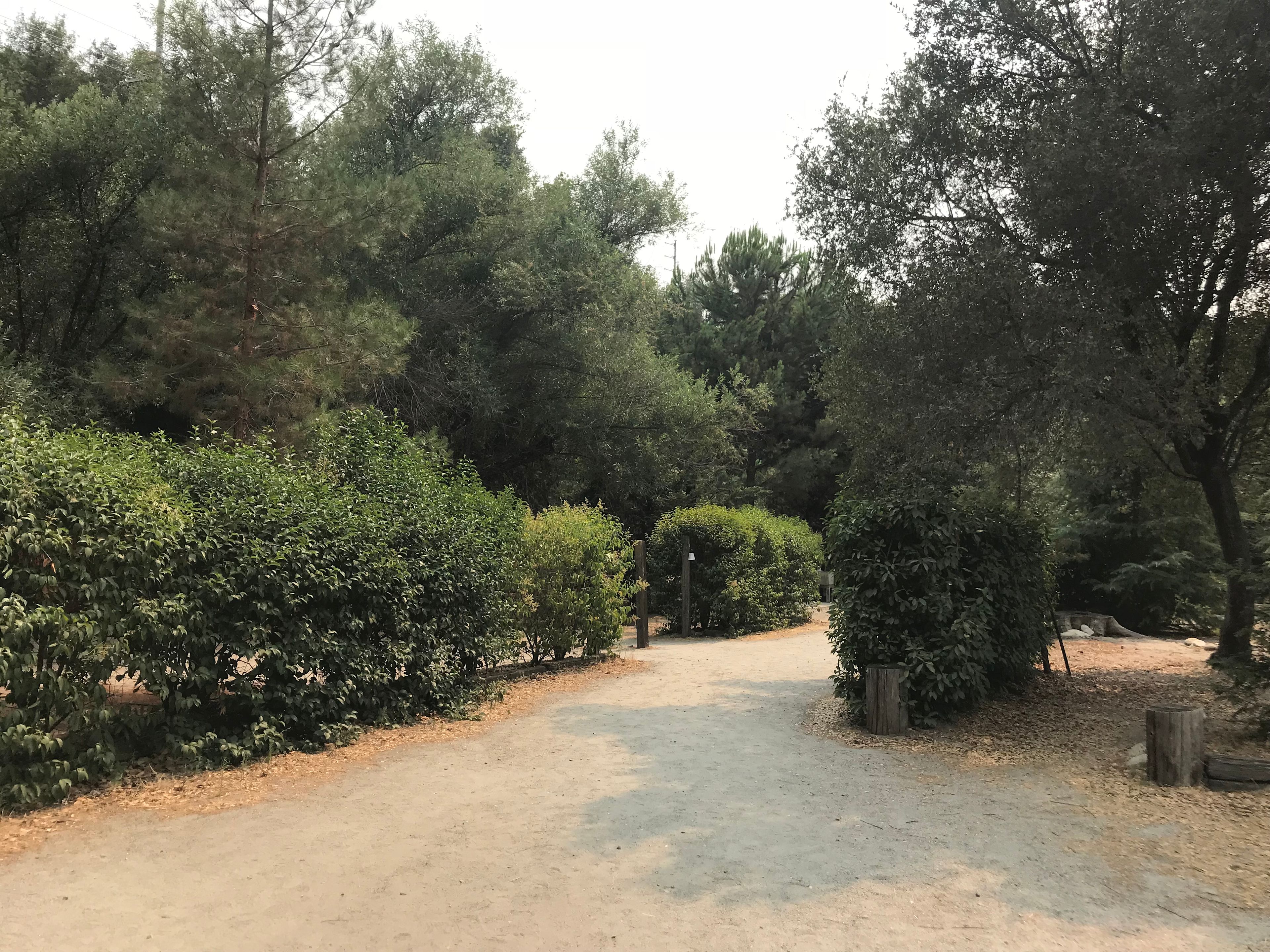 Kaweah Oaks Campground