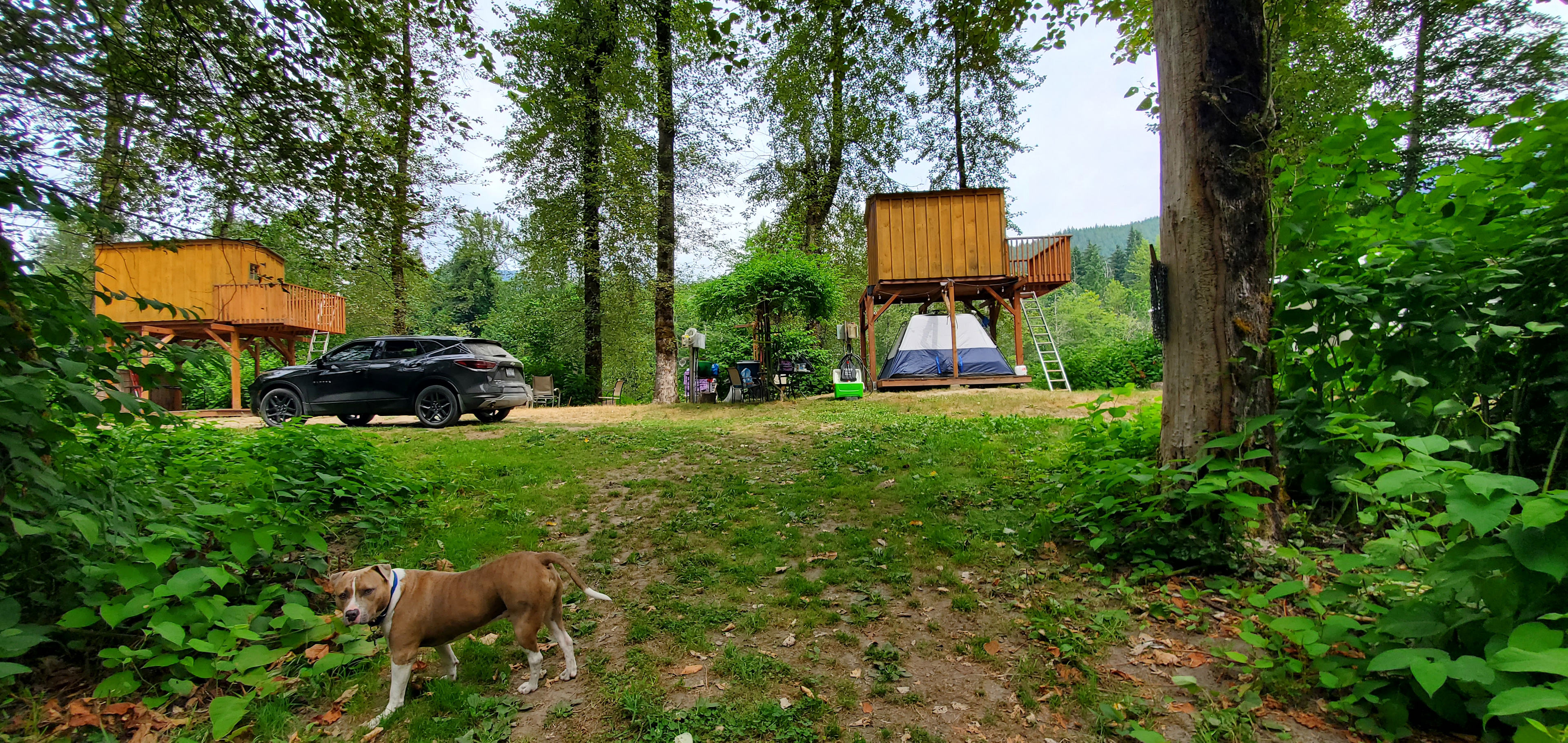 Riverfront Skykomish Camping 6+