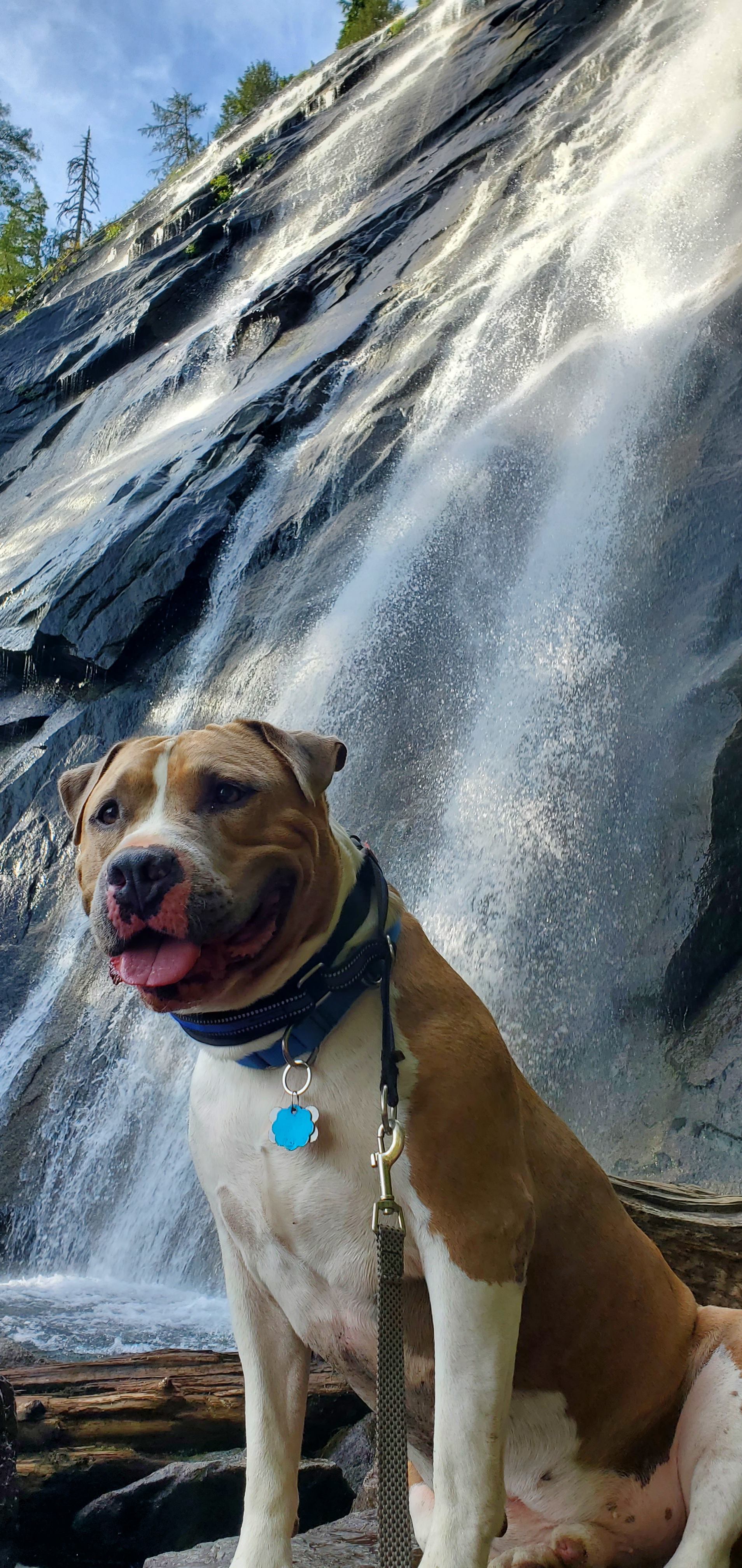 Riverfront Skykomish Camping 6+