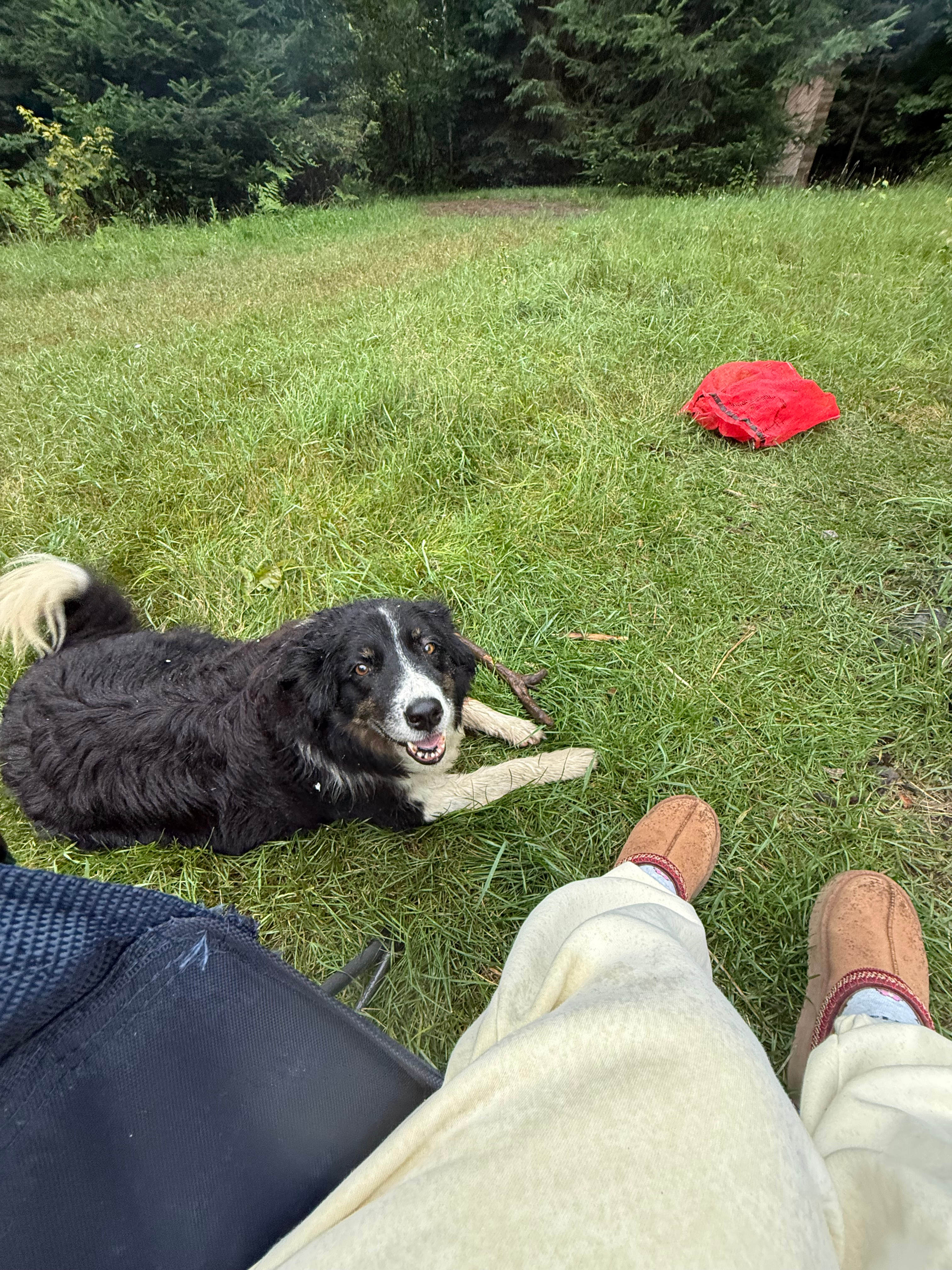 Maple Rivers Log Cabins