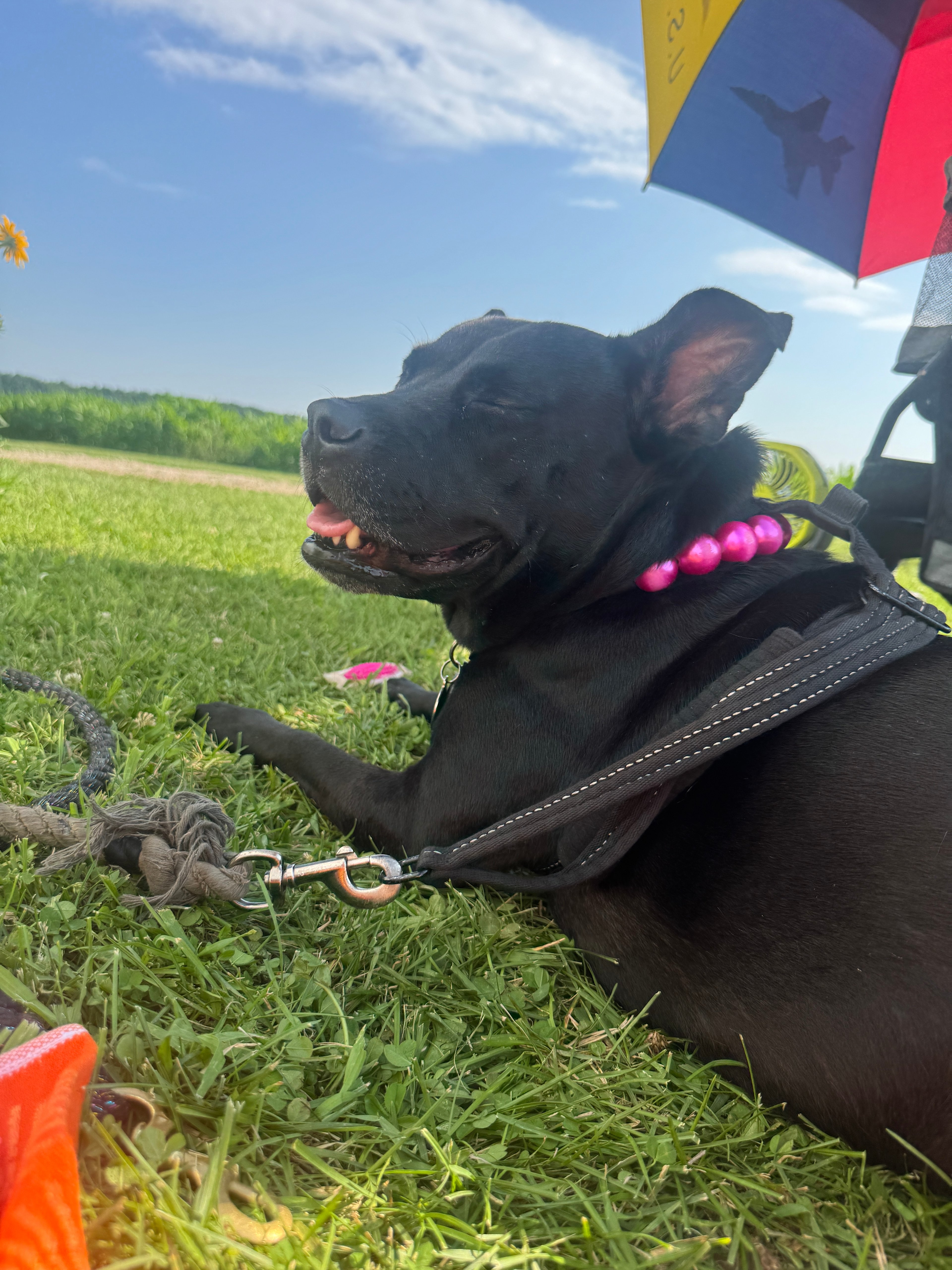 The Farm RV and Camper Parking
