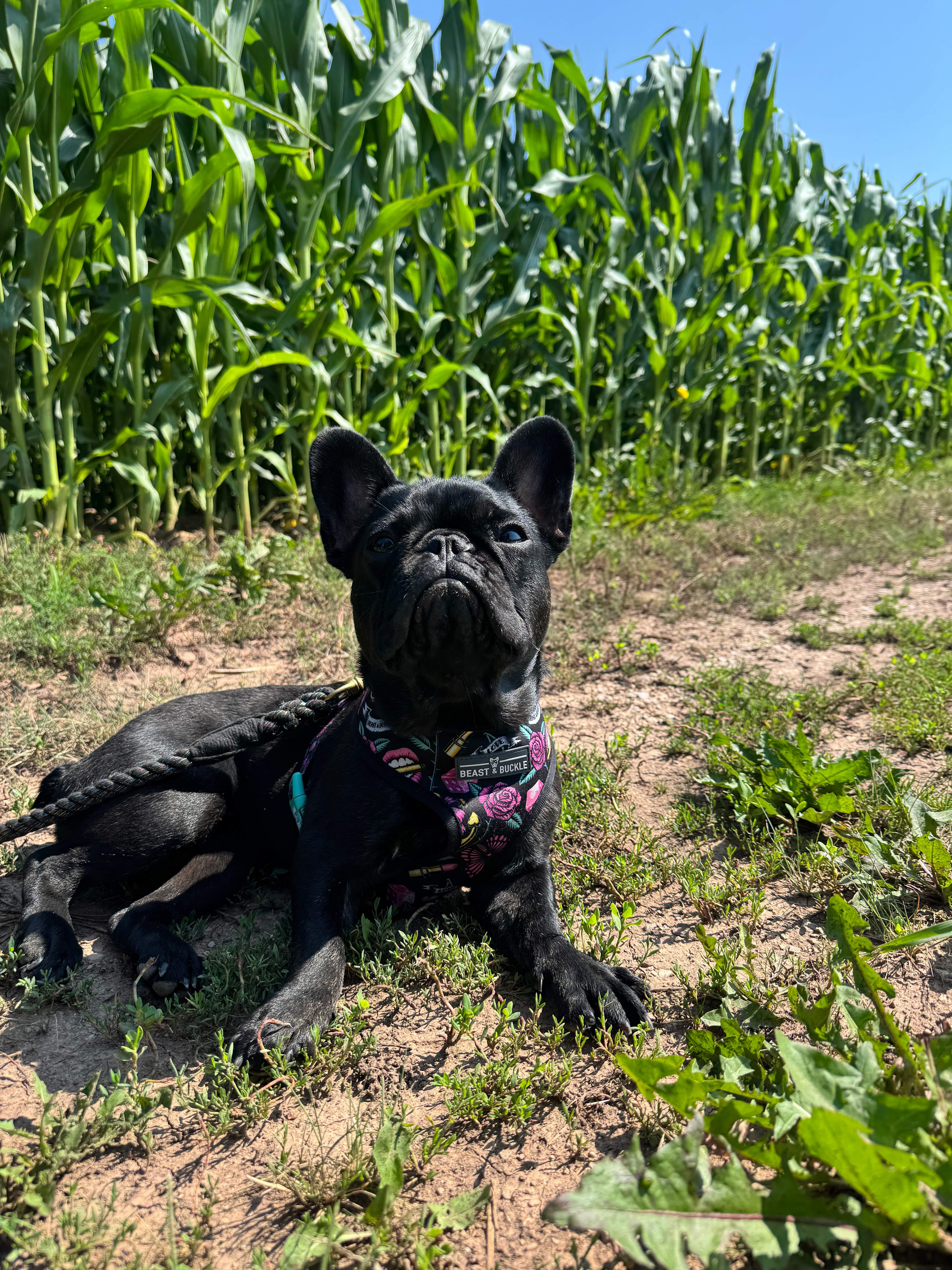 The Farm RV and Camper Parking