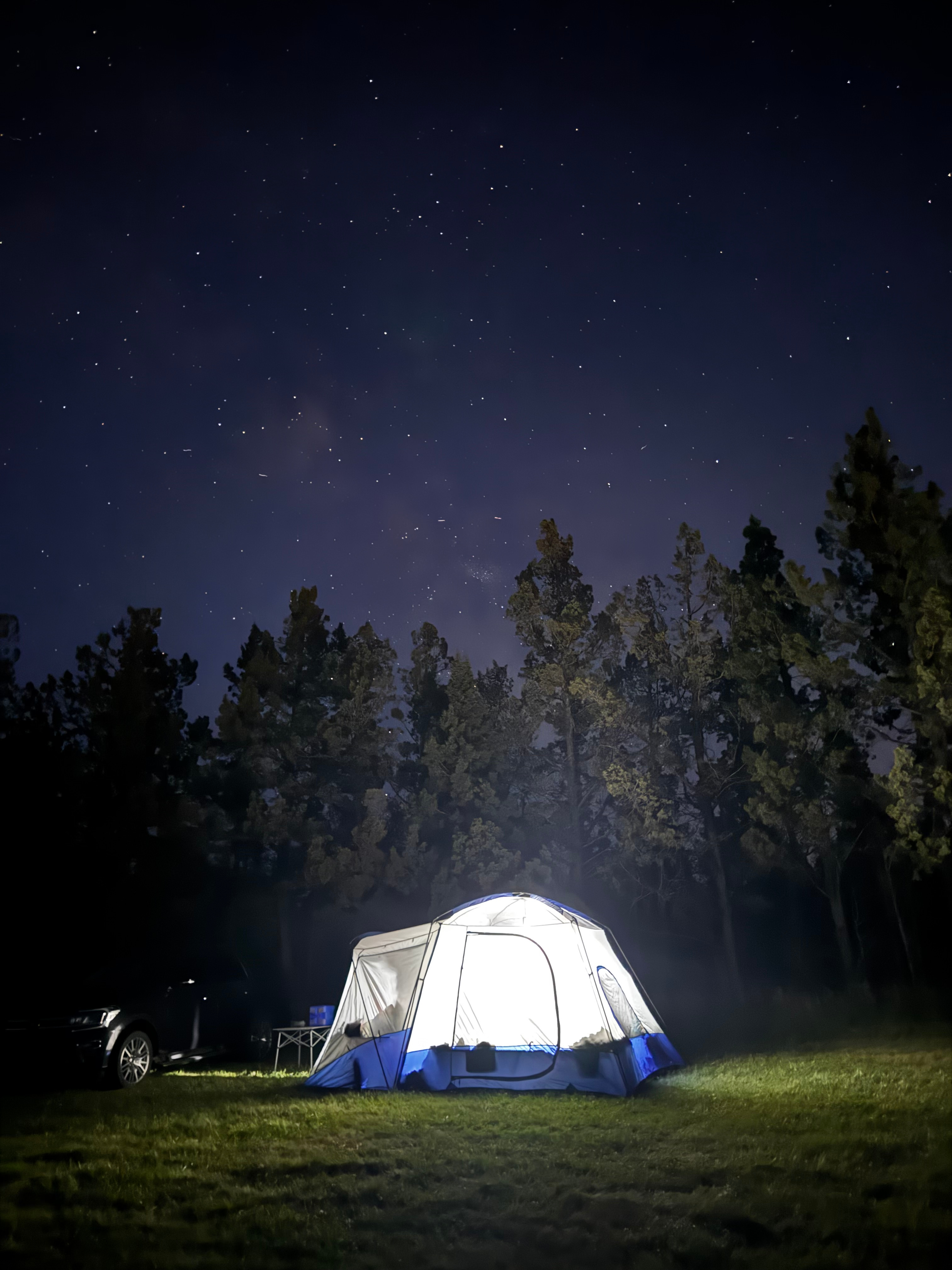 Kermit Farm,  starry nights