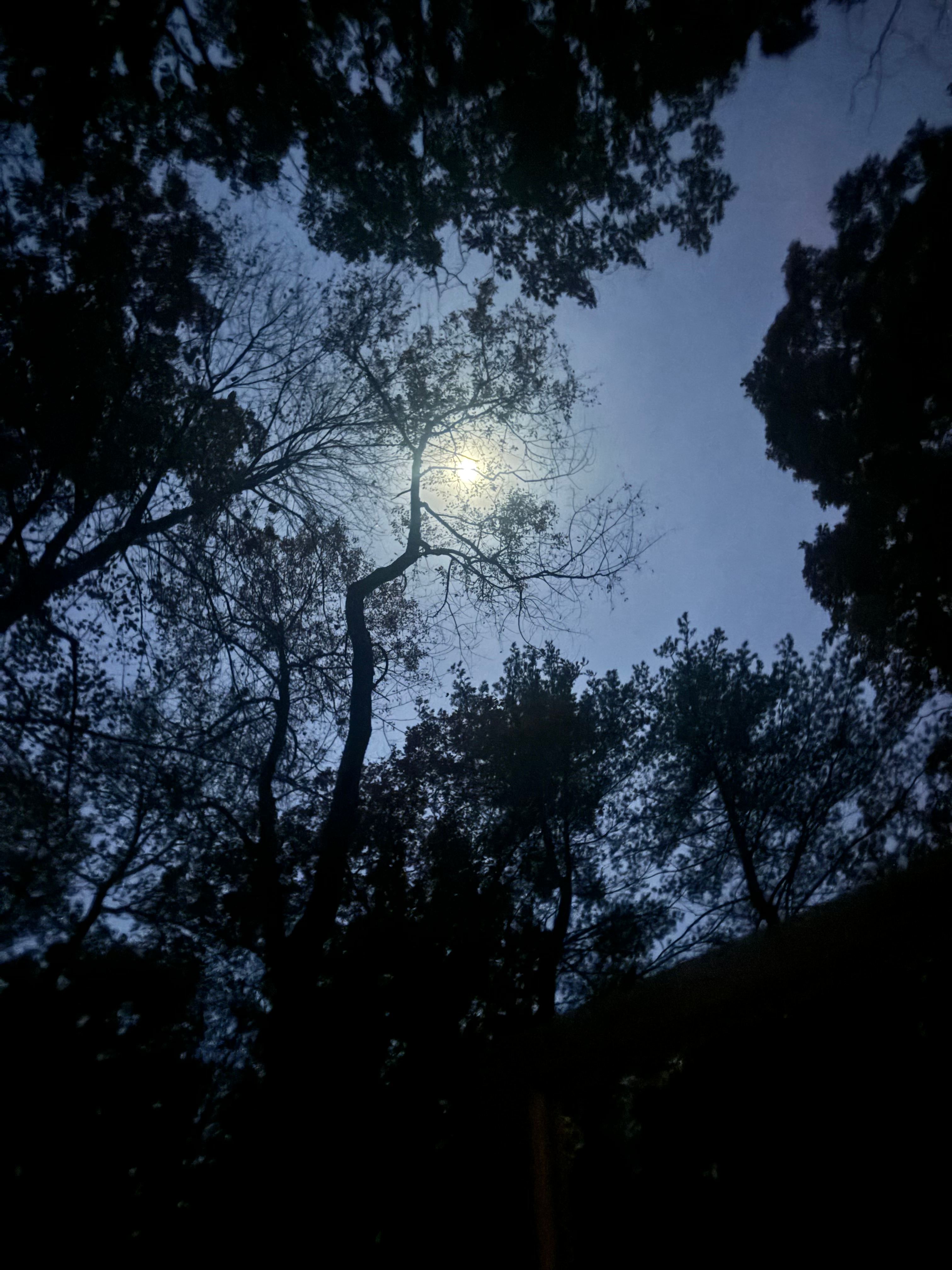 Sacred Sound Center: Campground