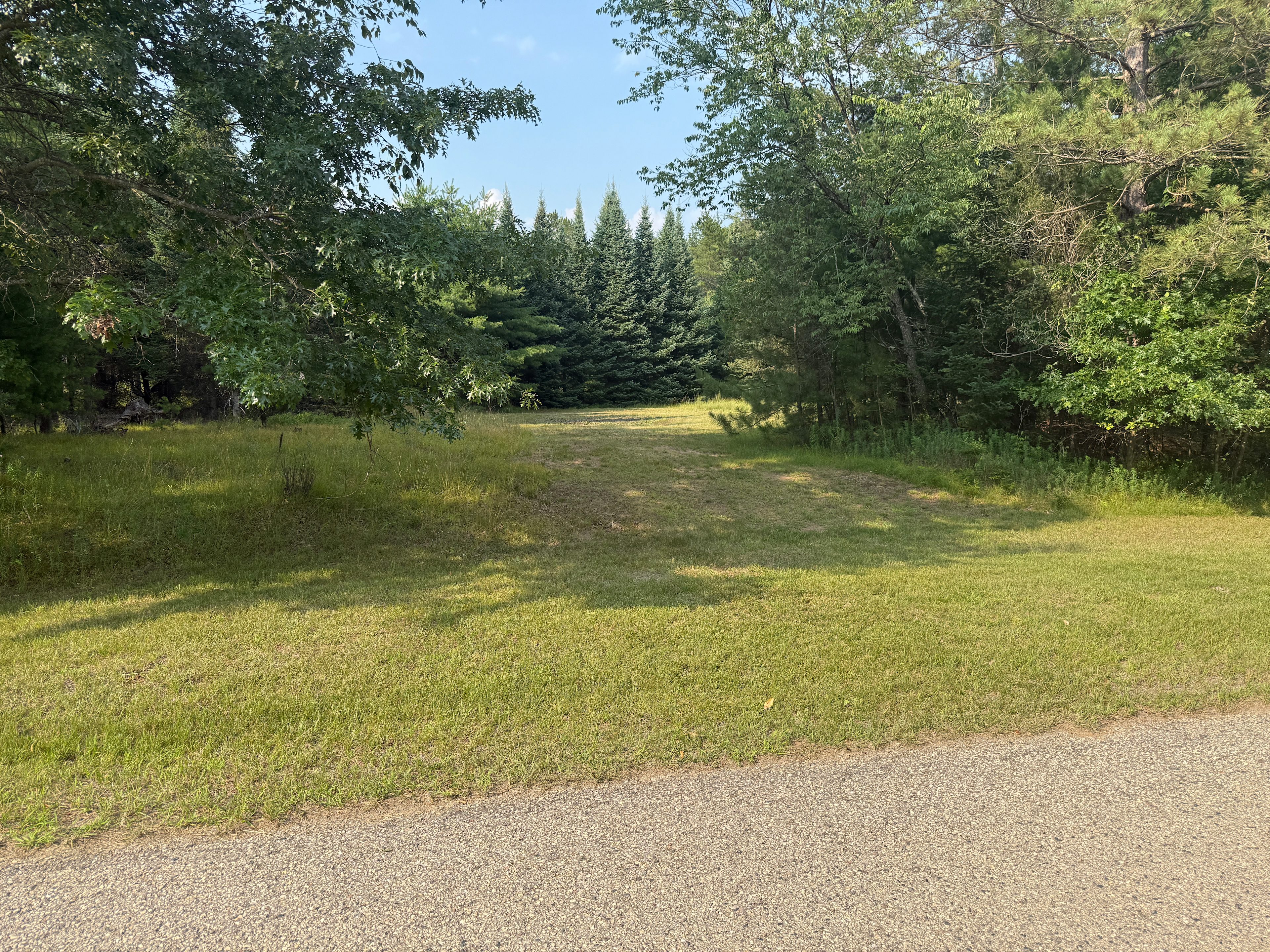 View of the site from the road