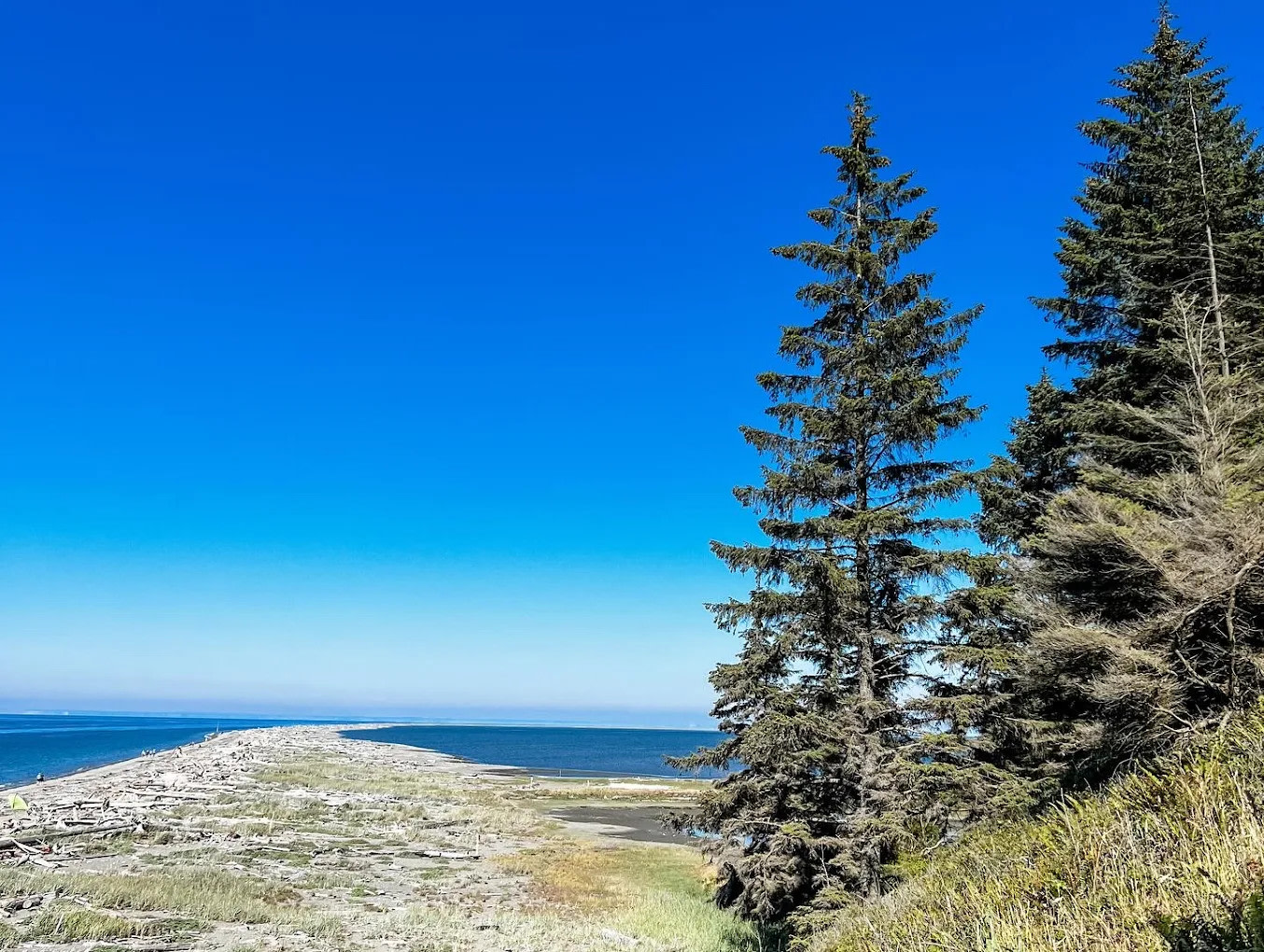 Dungeness Recreation Area Clallam County Park