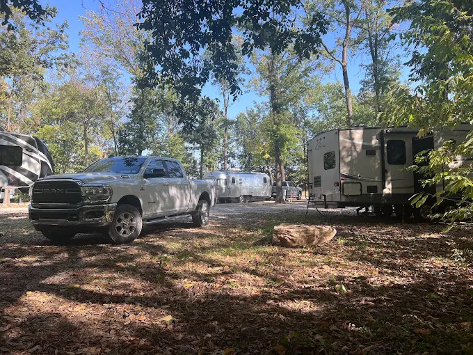 The Woods At Plaza Drive