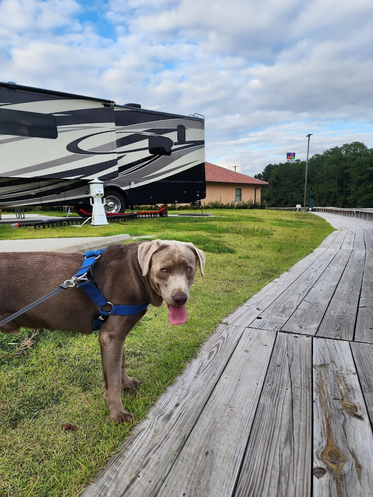 Coastal GA RV Resort