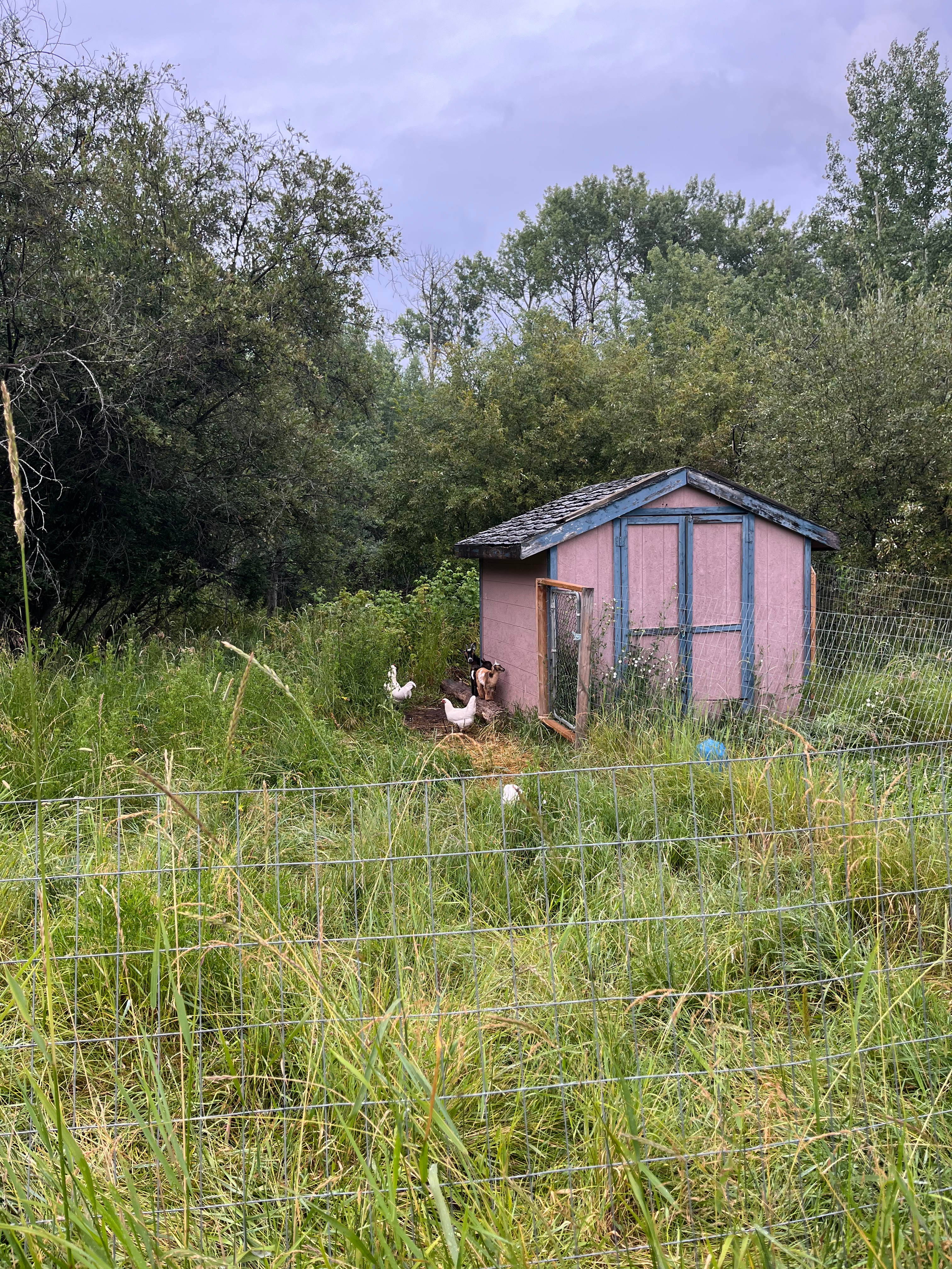 Hobby Farm in Glenevis