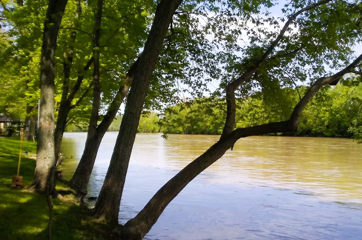 Tall Sycamore Campground