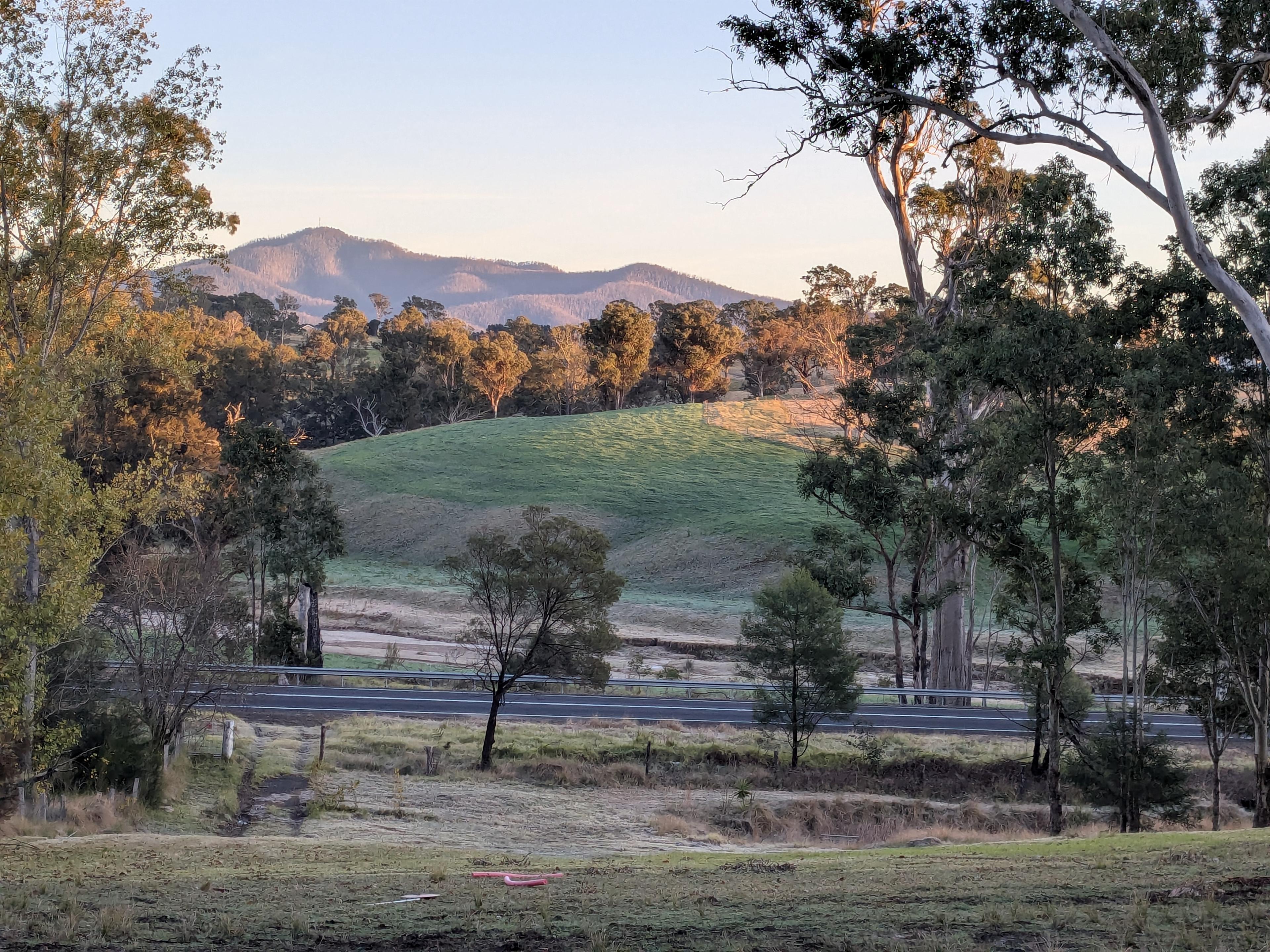 The view, morning 