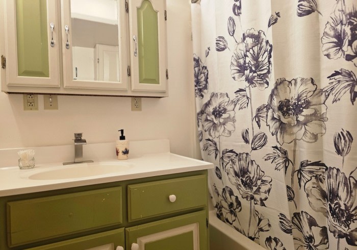 Wrangell Mountain Homestead